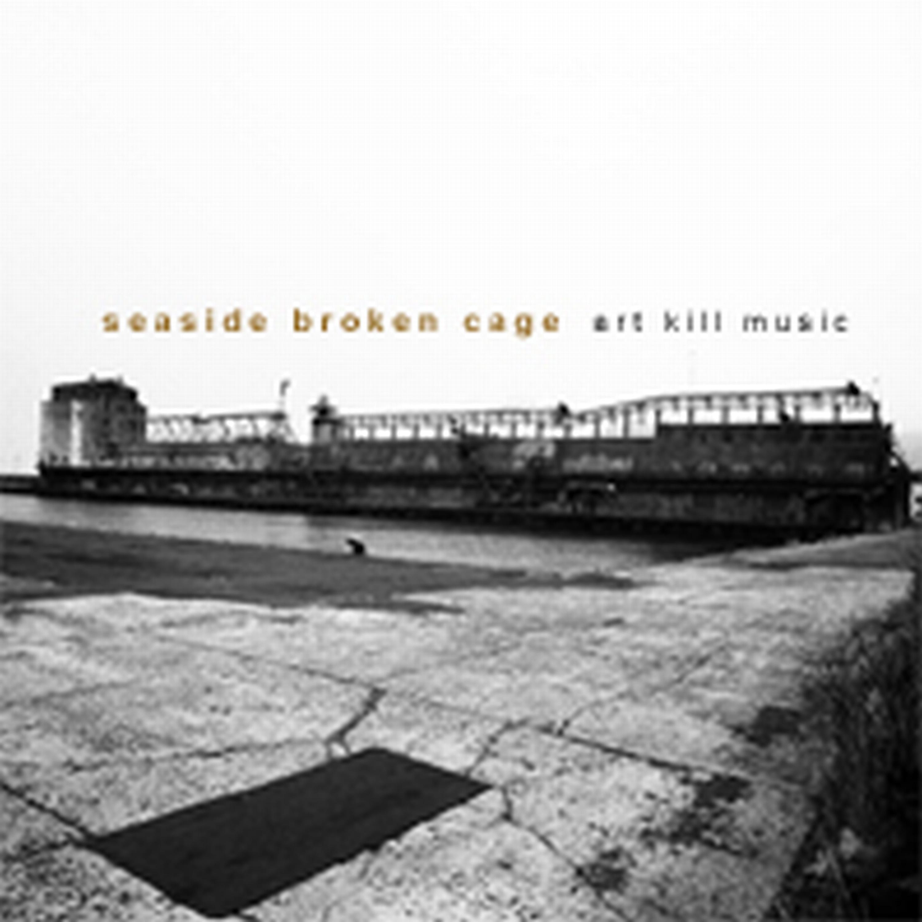 Постер альбома seaside broken cage