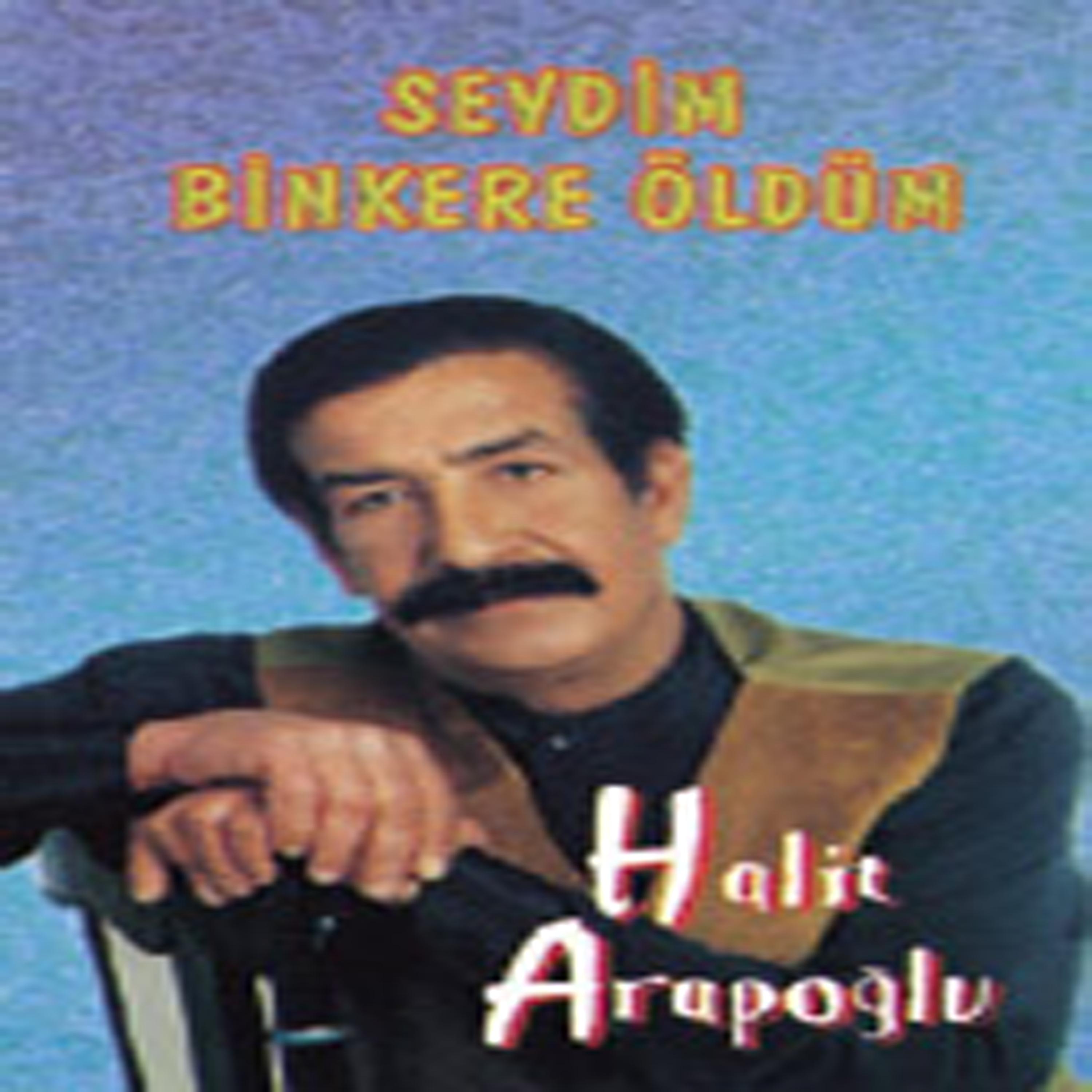 Halit Arapoğlu - Bugün Sevgilimi Gördüm