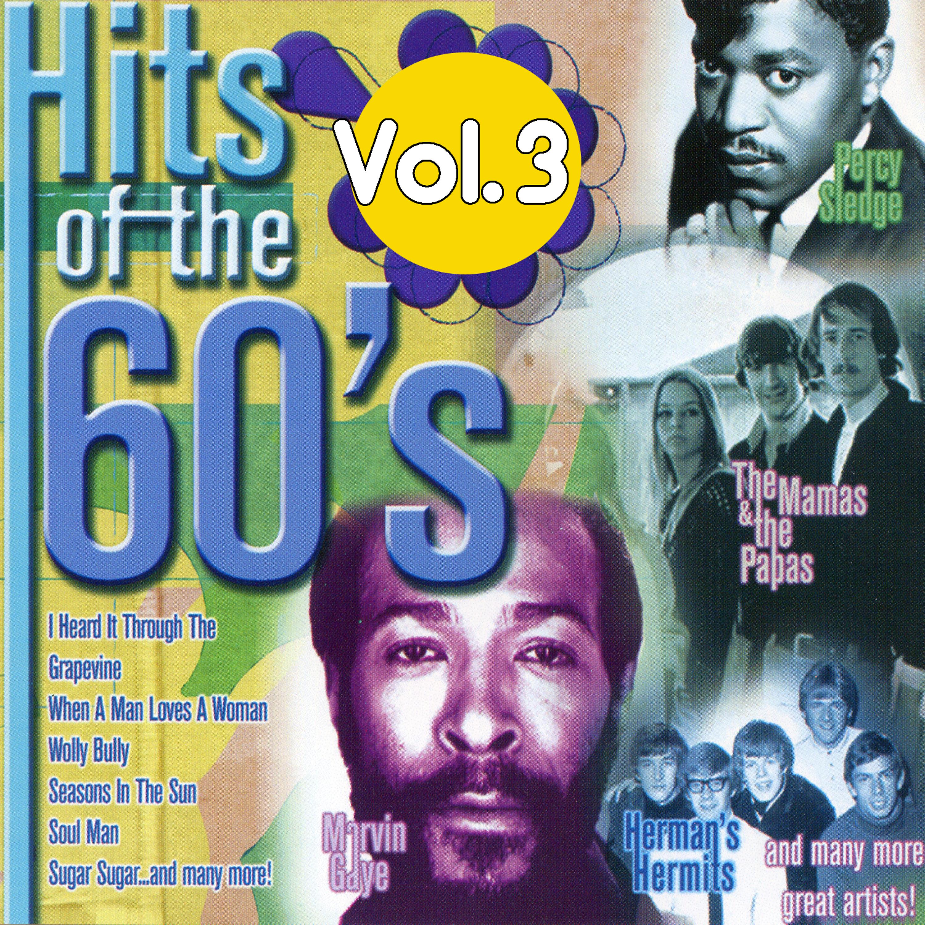 Постер альбома Hits Of The 60s Volume 3