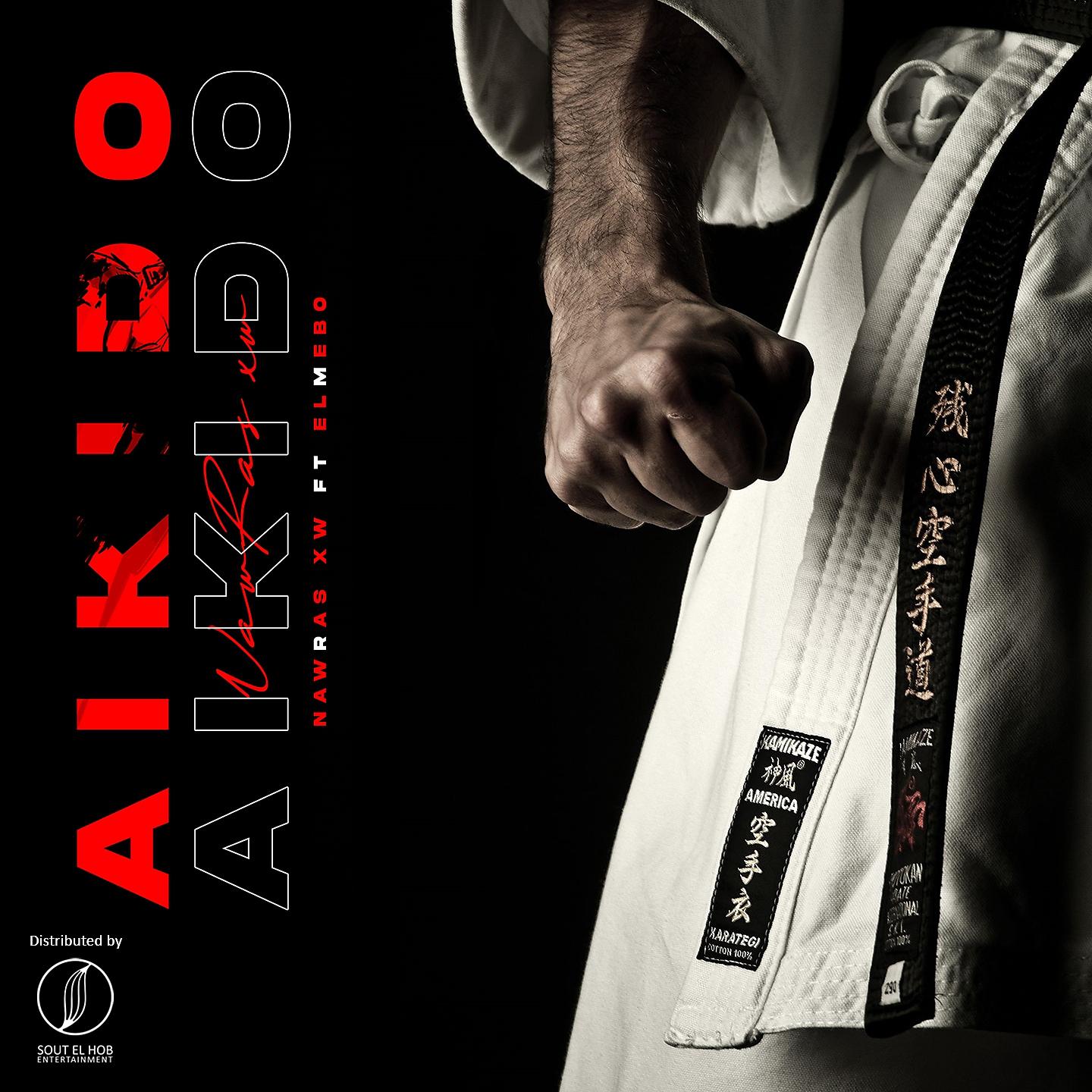 Постер альбома Aikido