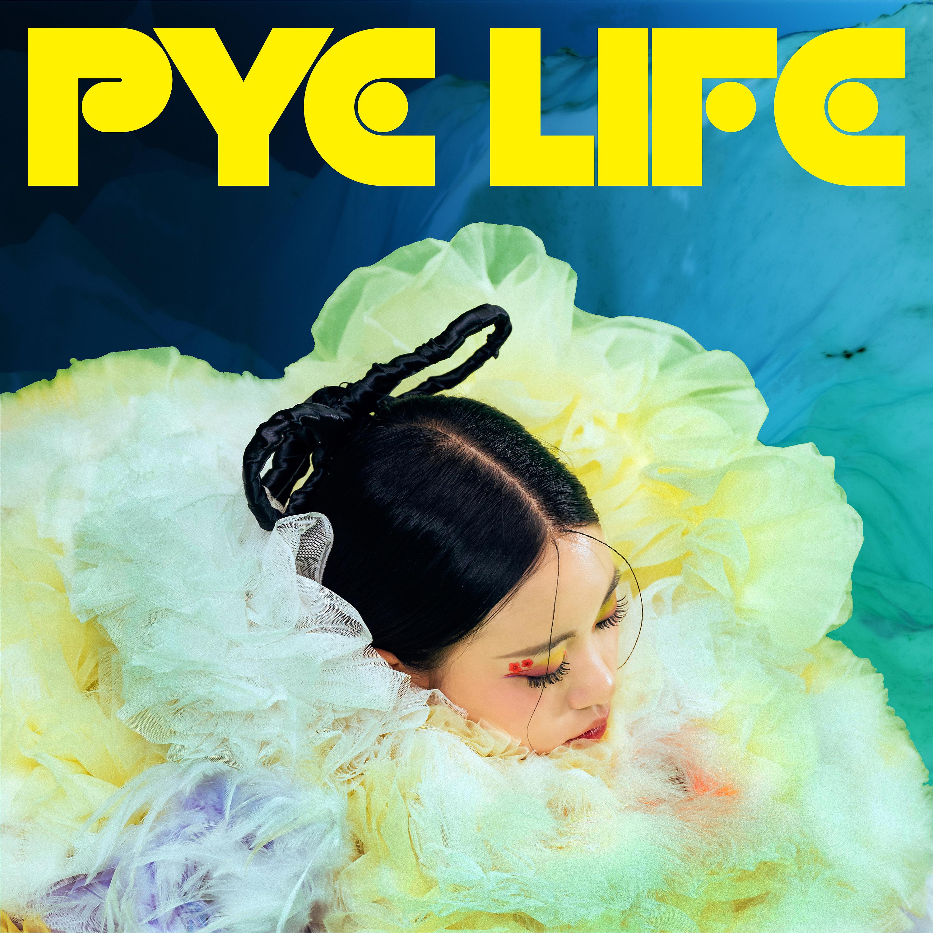 Постер альбома PYE LIFE