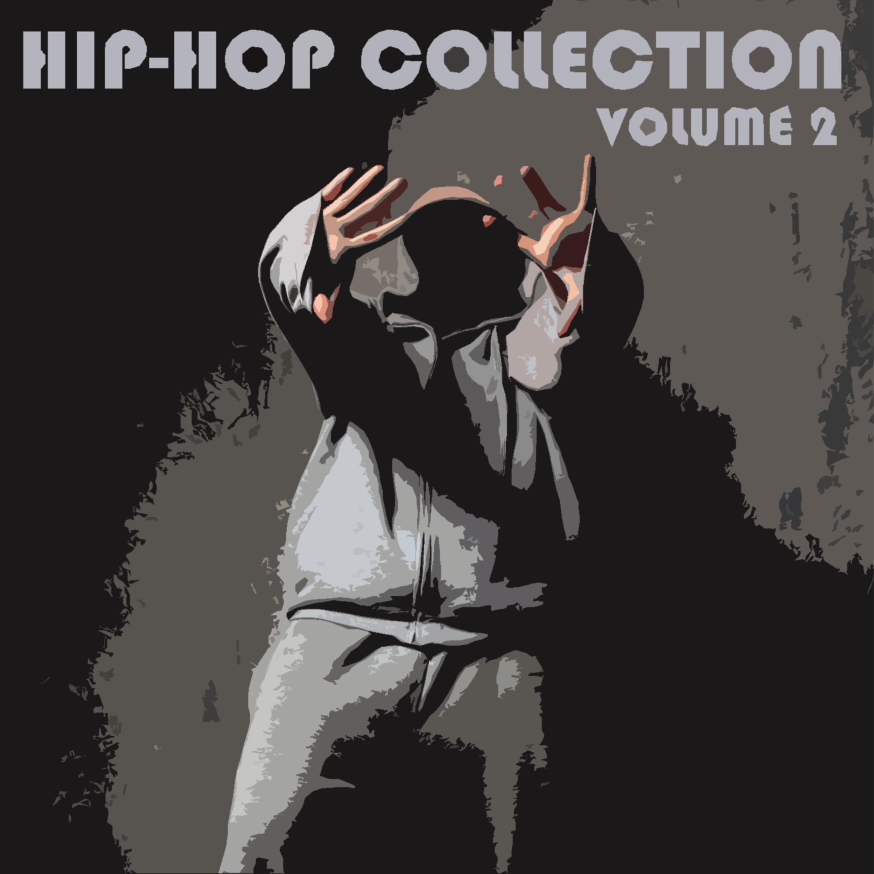 Постер альбома Hip-Hop Collection Vol 2