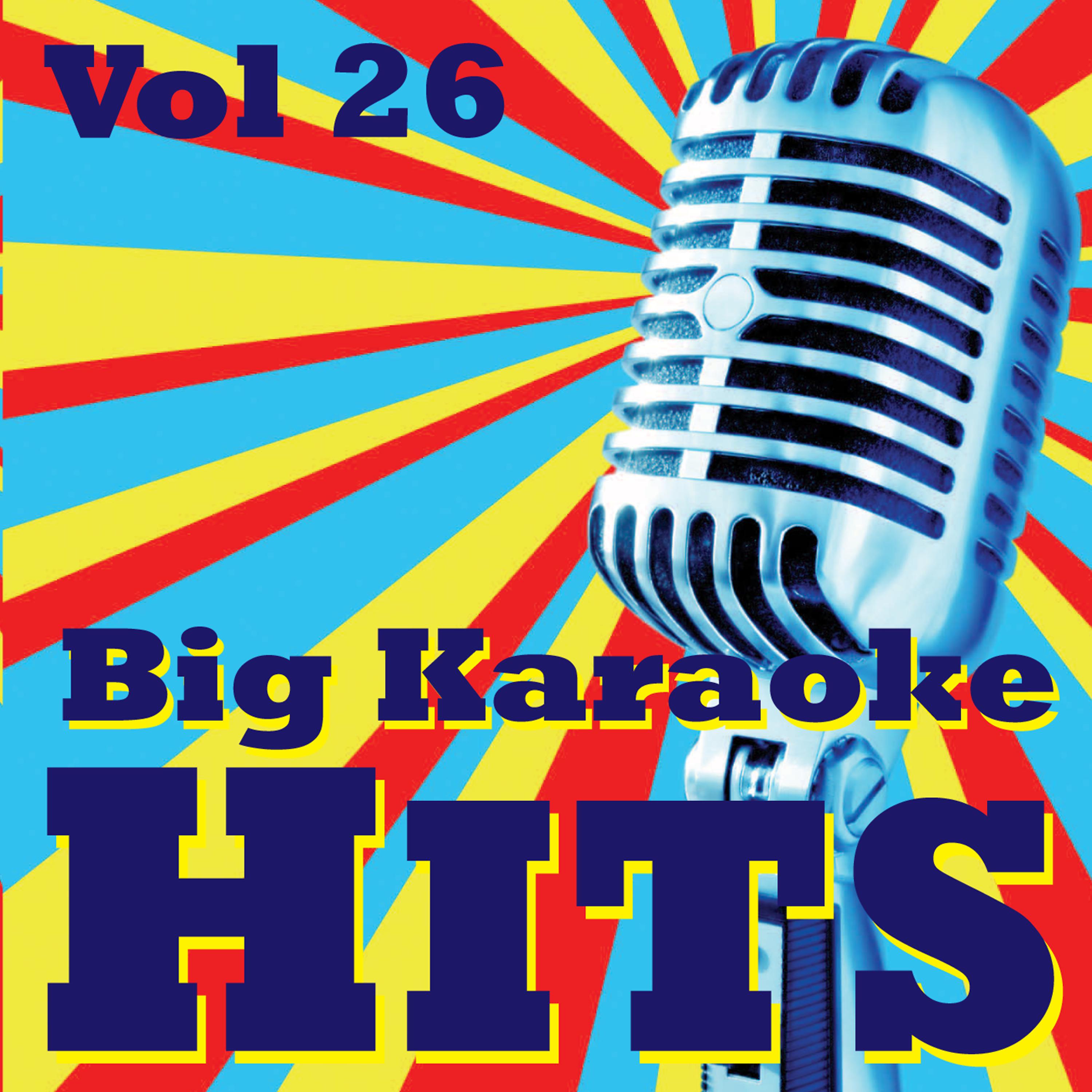 Постер альбома Big Karaoke Hits Vol.26