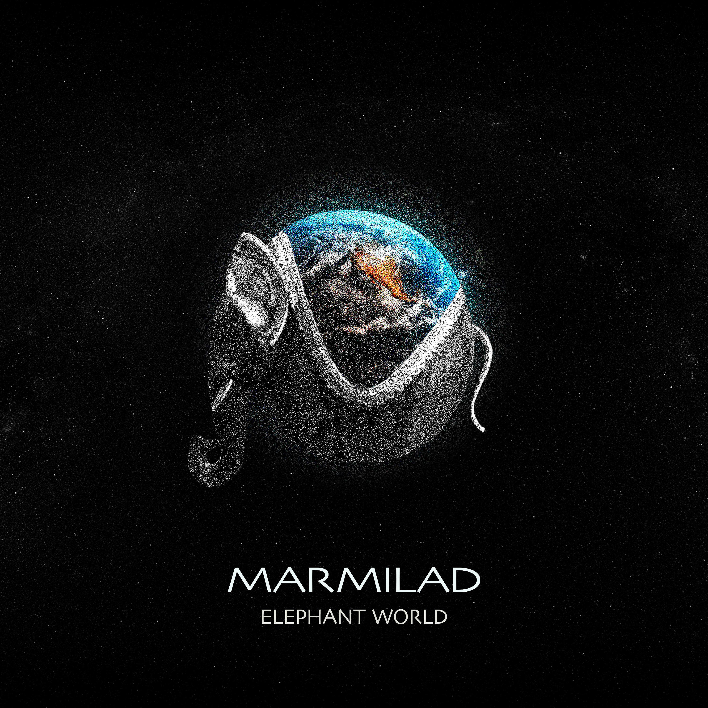 Постер альбома Elephant World