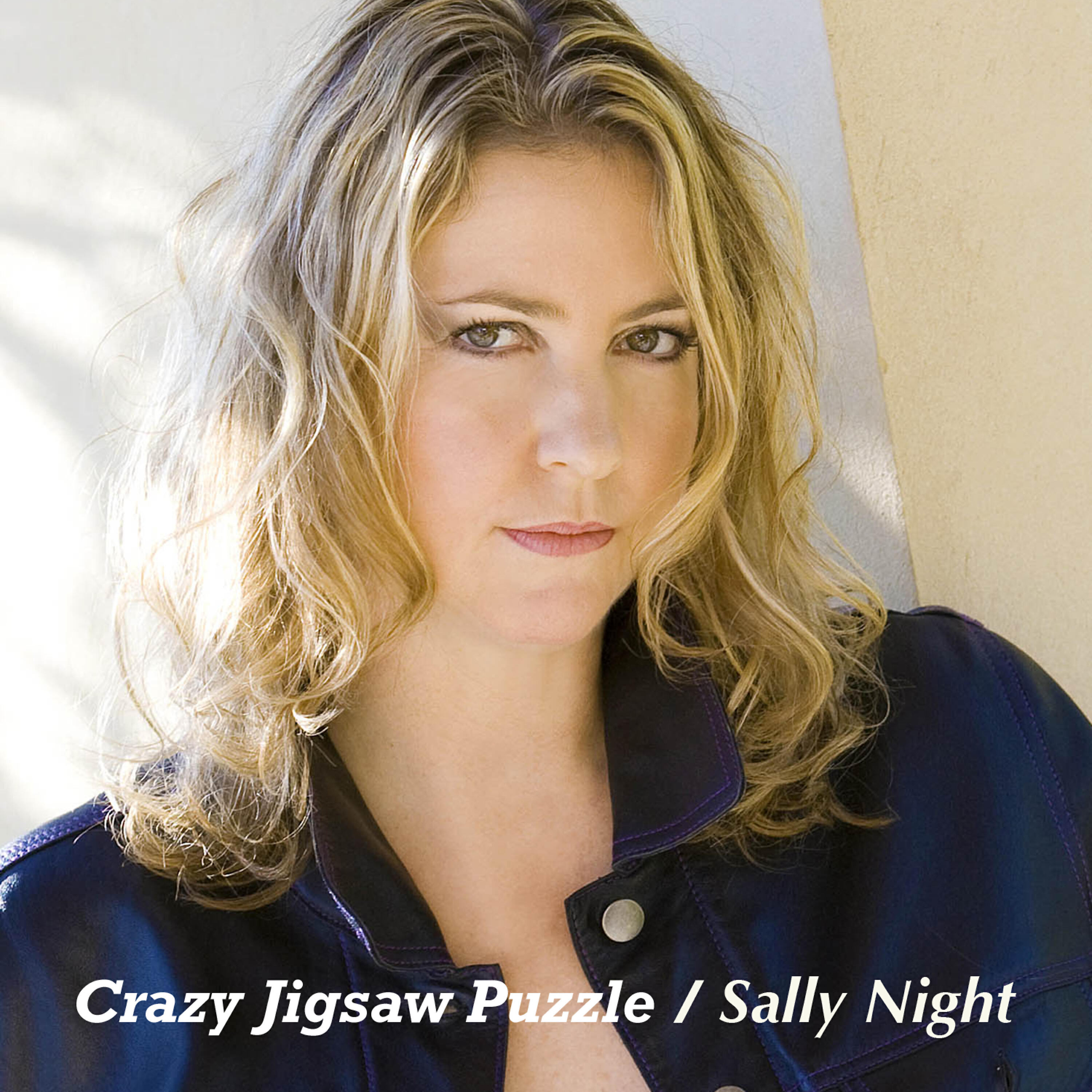 Sally Night - Crazy Jigsaw Puzzle