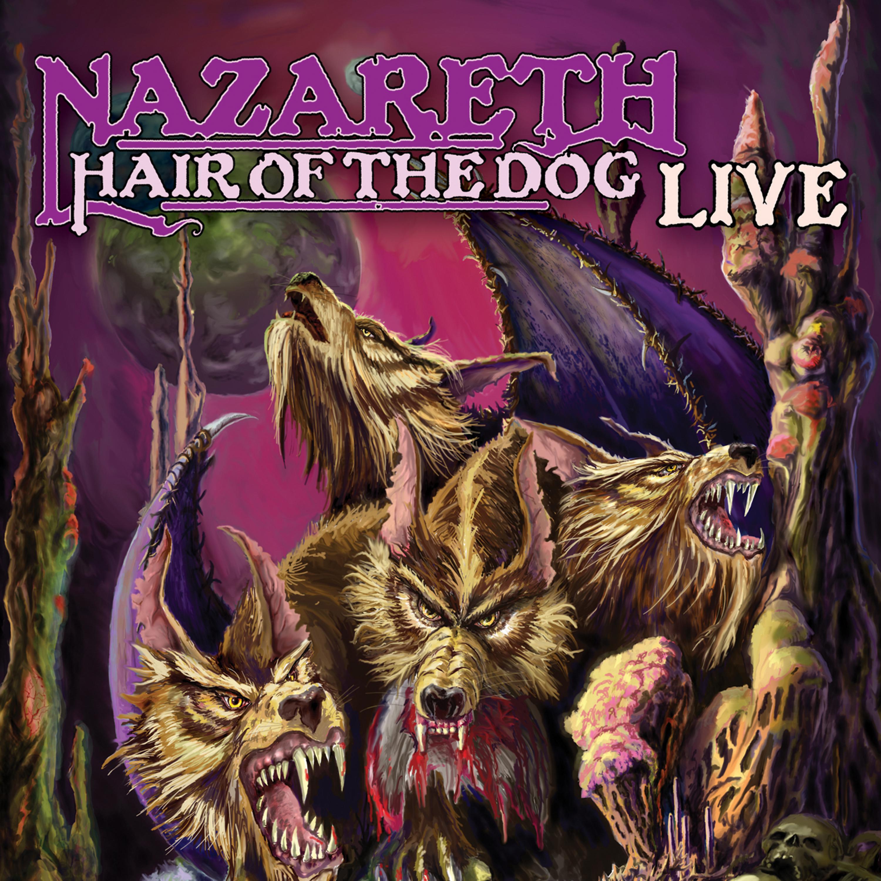 Постер альбома Hair Of The Dog (Live)
