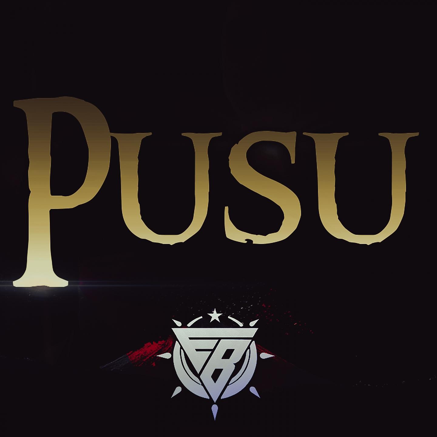 Постер альбома Pusu