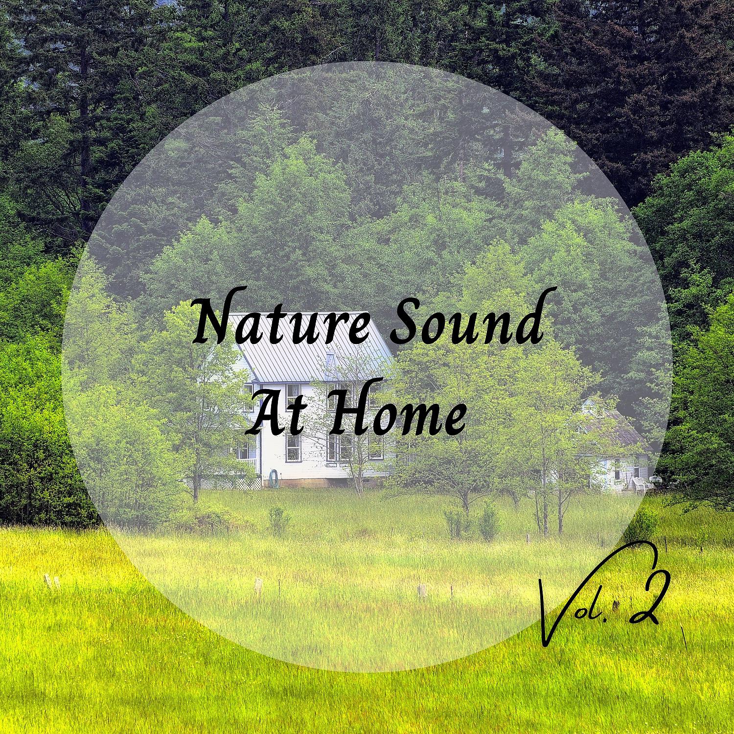 Постер альбома Nature Sound At Home Vol. 2