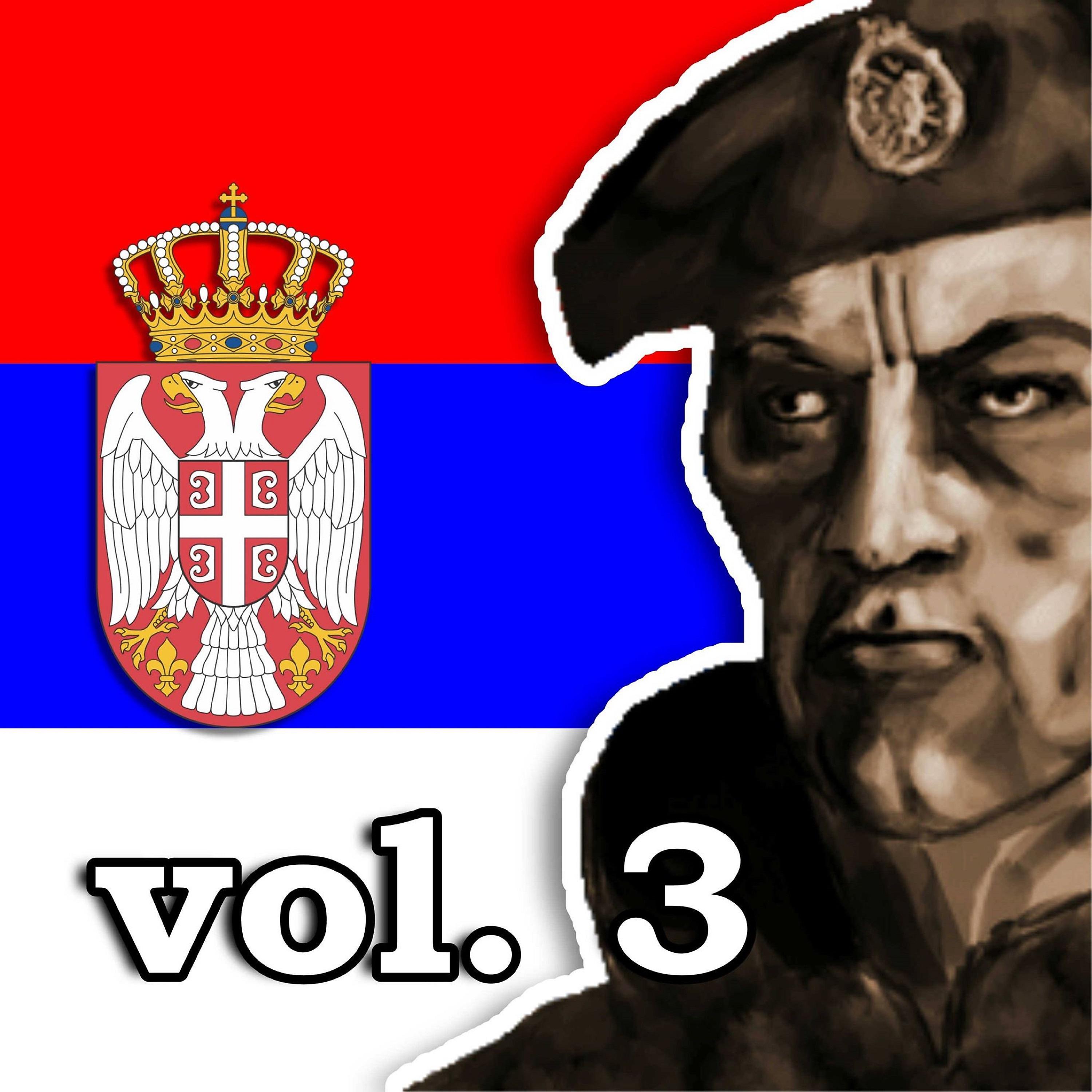 Постер альбома Koktel patriotskih hitova vol. 3