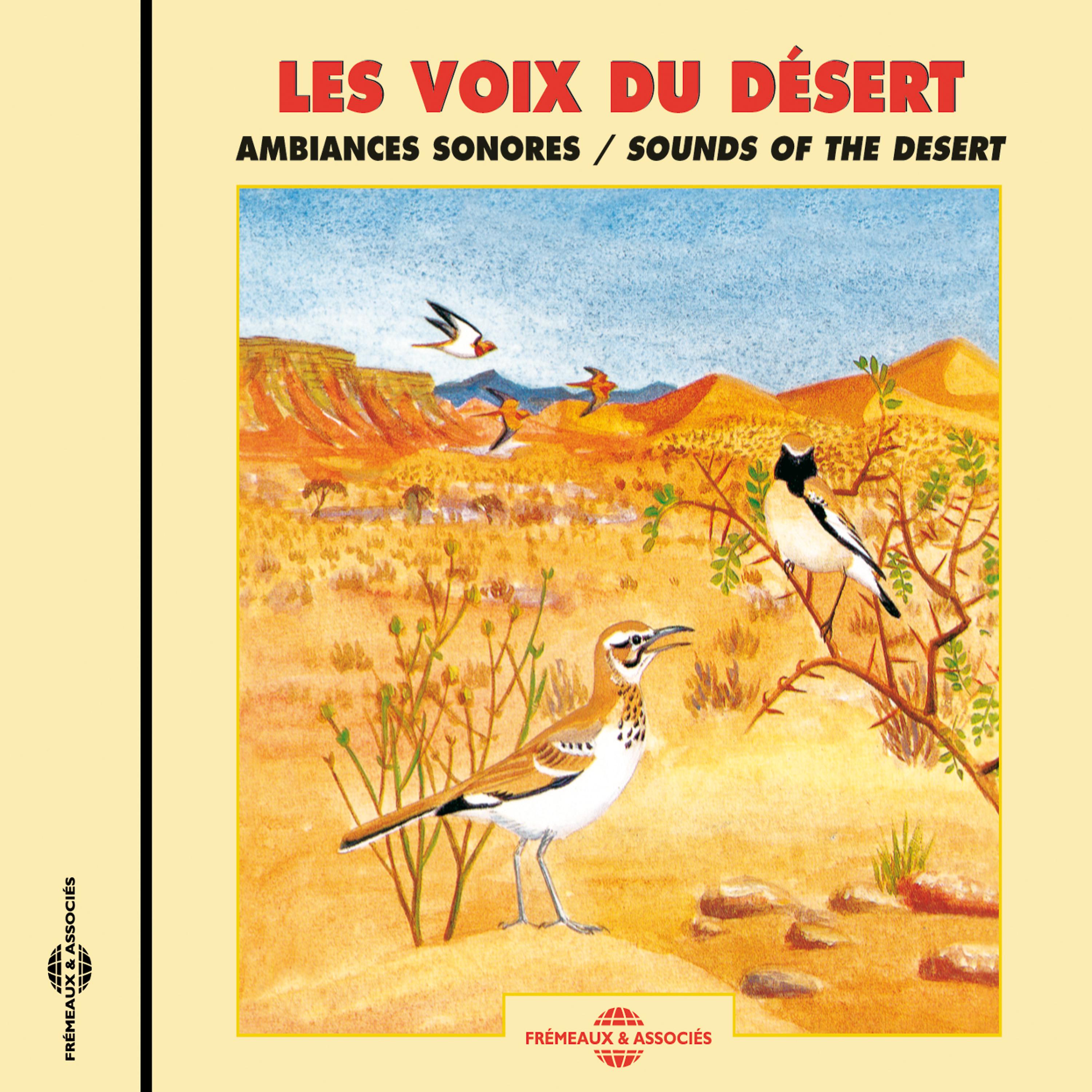 Постер альбома Sounds Of The Desert