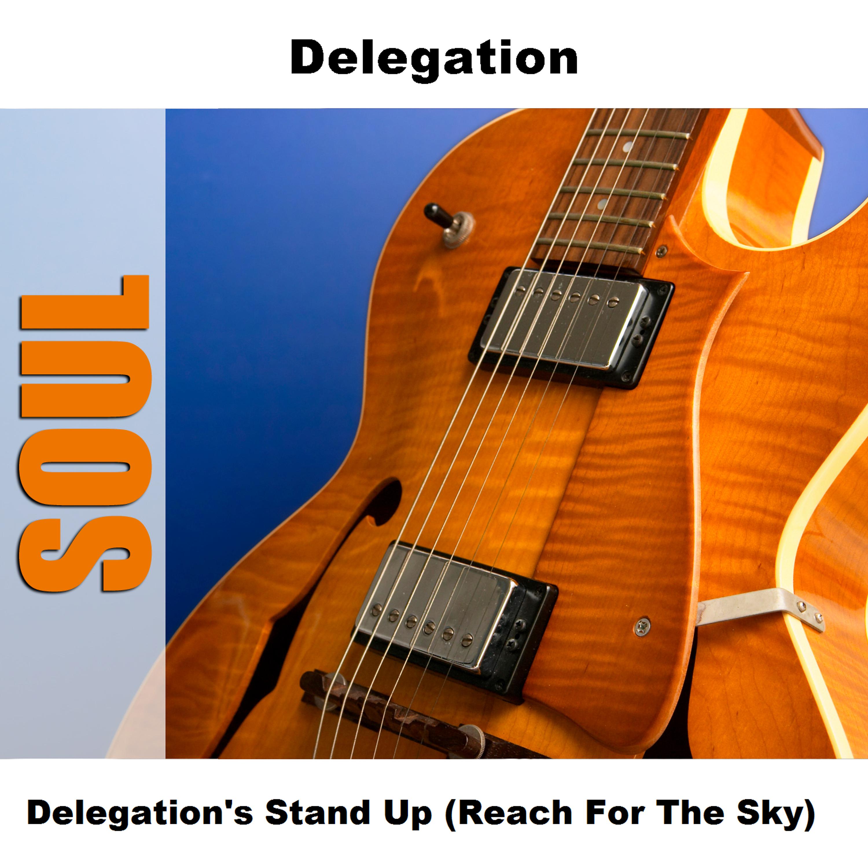 Постер альбома Delegation's Stand Up (Reach For The Sky)