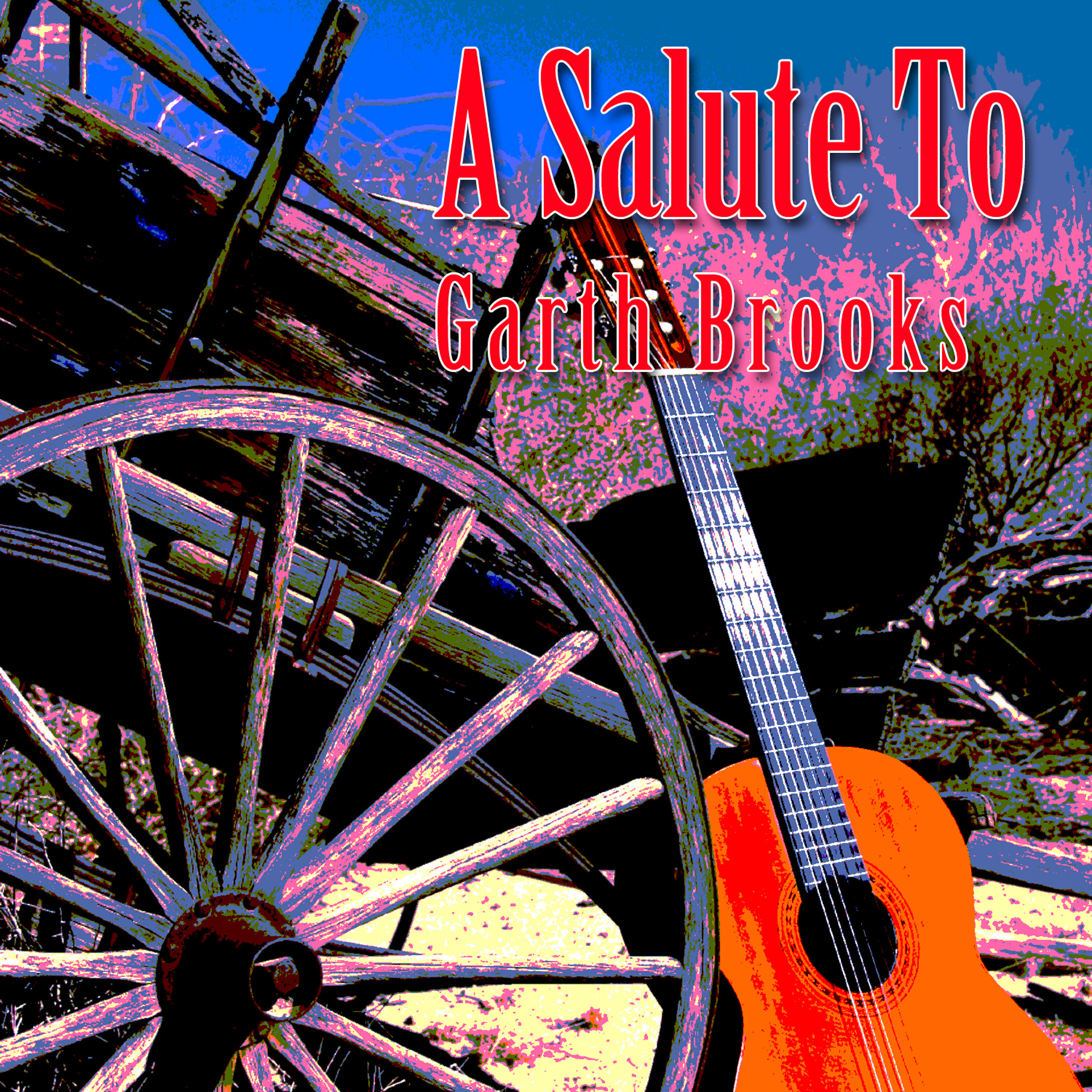 Country Singers International - A New Way To Fly