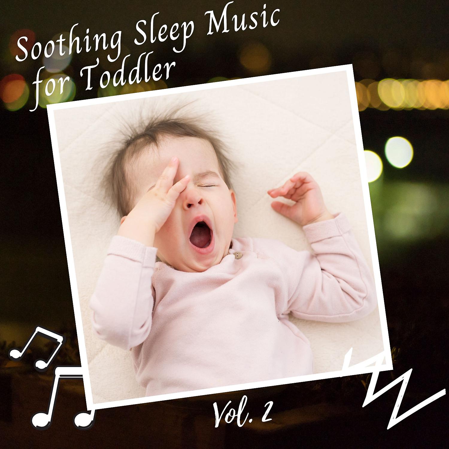 Постер альбома Soothing Sleep Music for Toddler Vol. 2