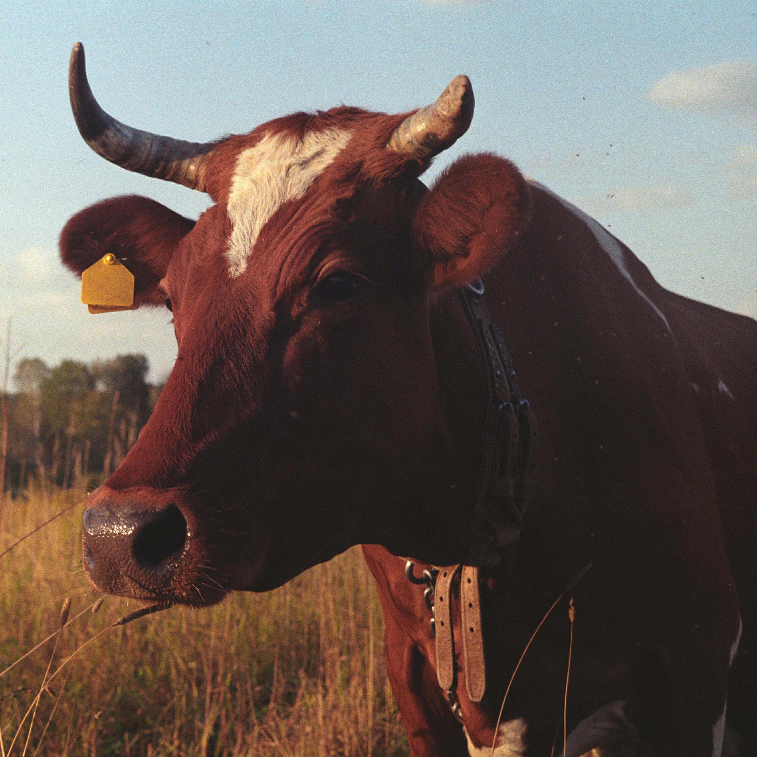 пост-grotesque все песни в mp3