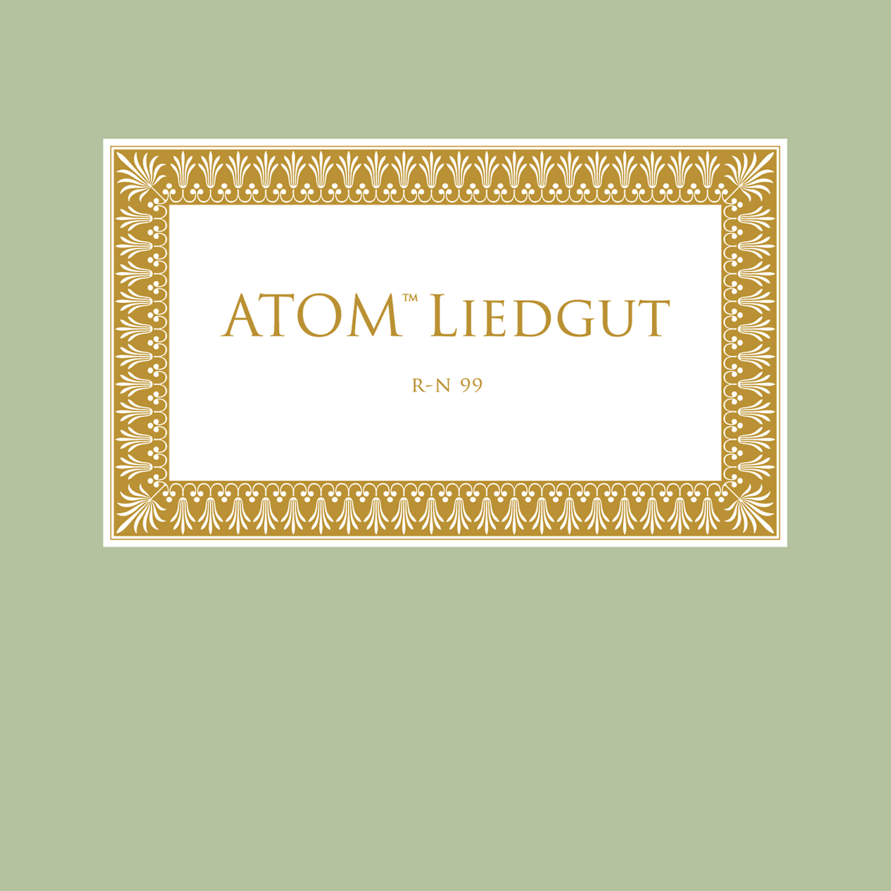 Atom TM - Wellen Und Felder II