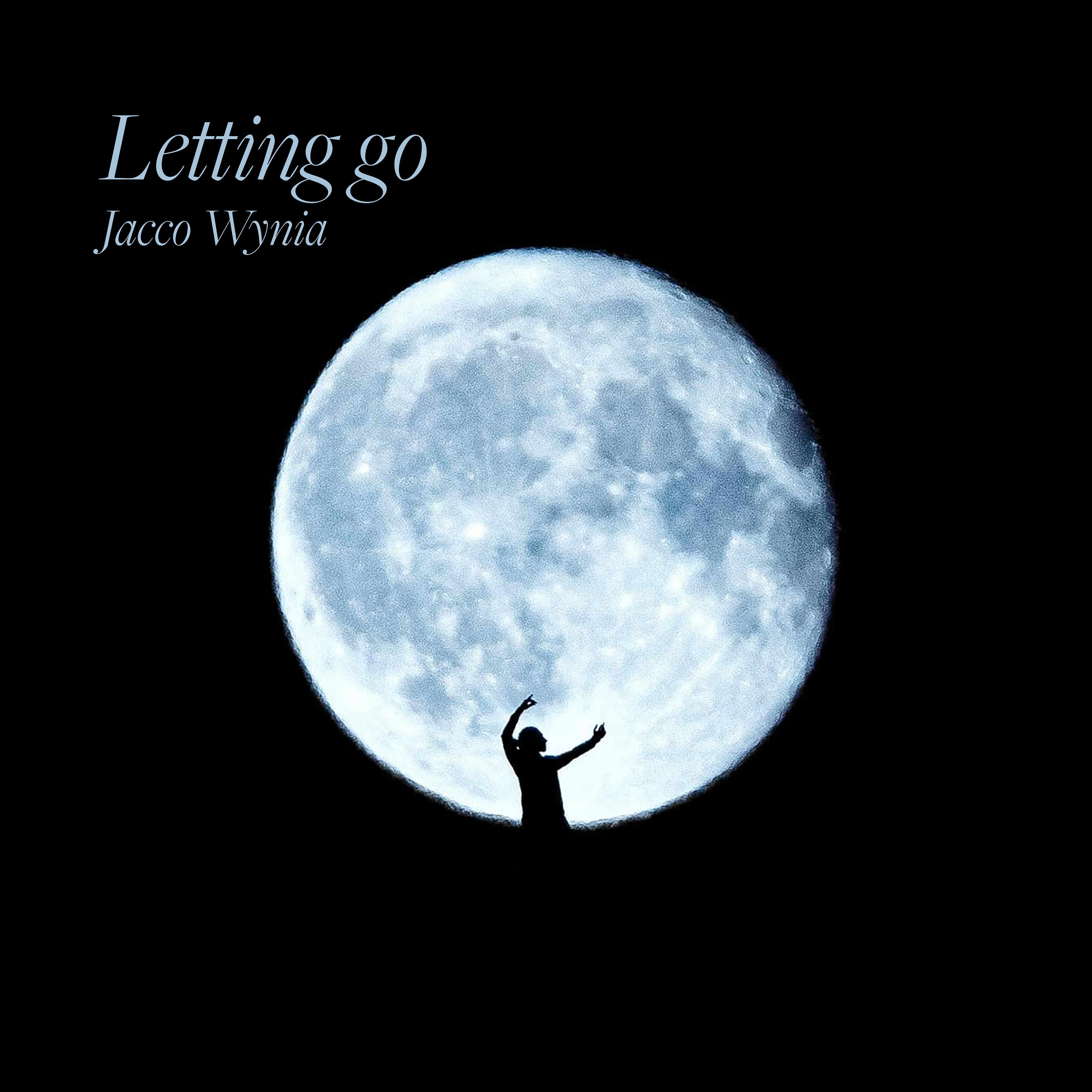 Постер альбома Letting go