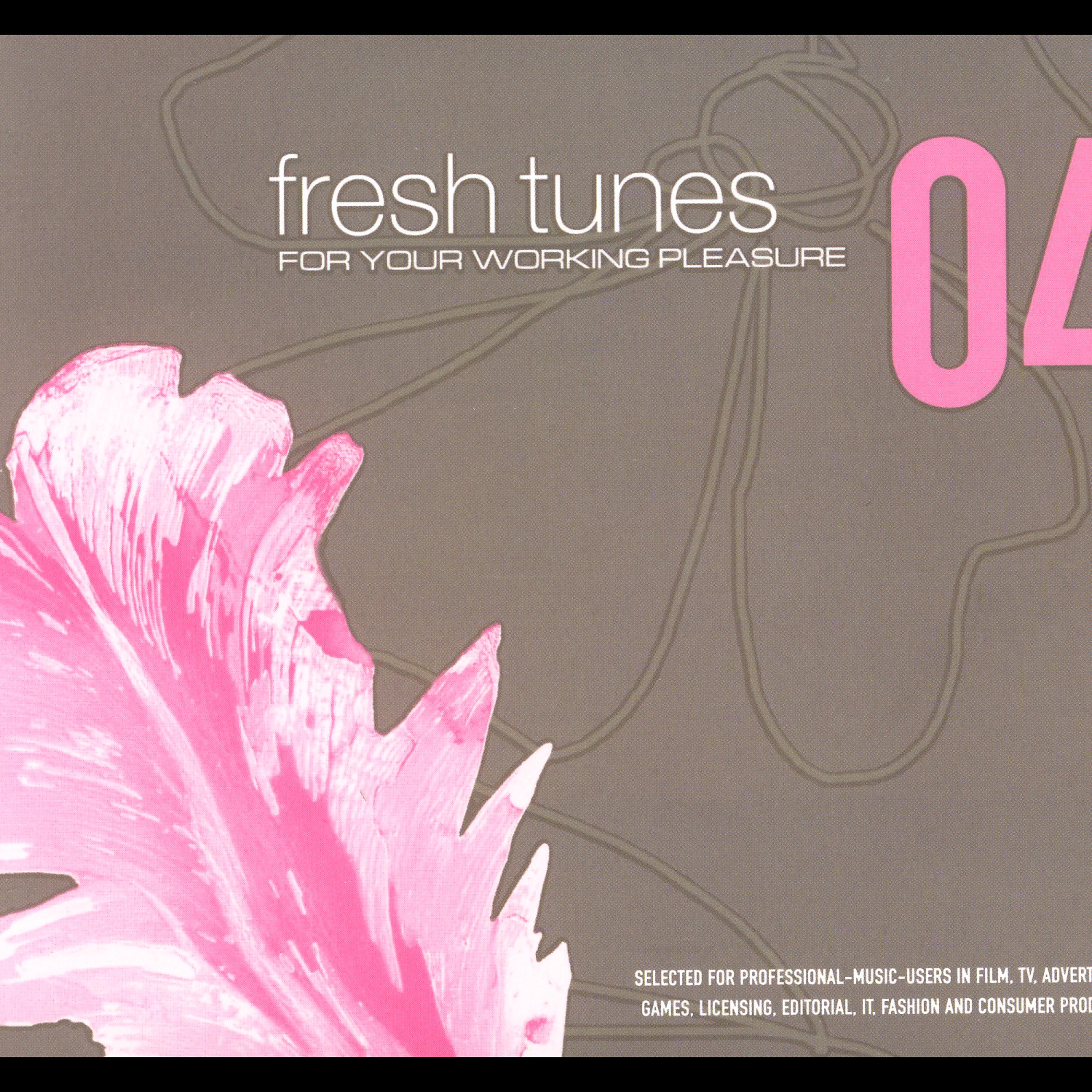 Постер альбома Fresh Tunes 04