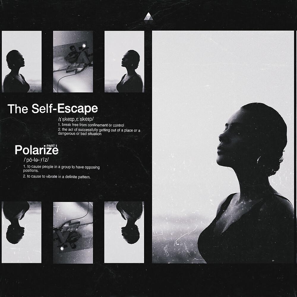 Постер альбома Polarize, Pt.1