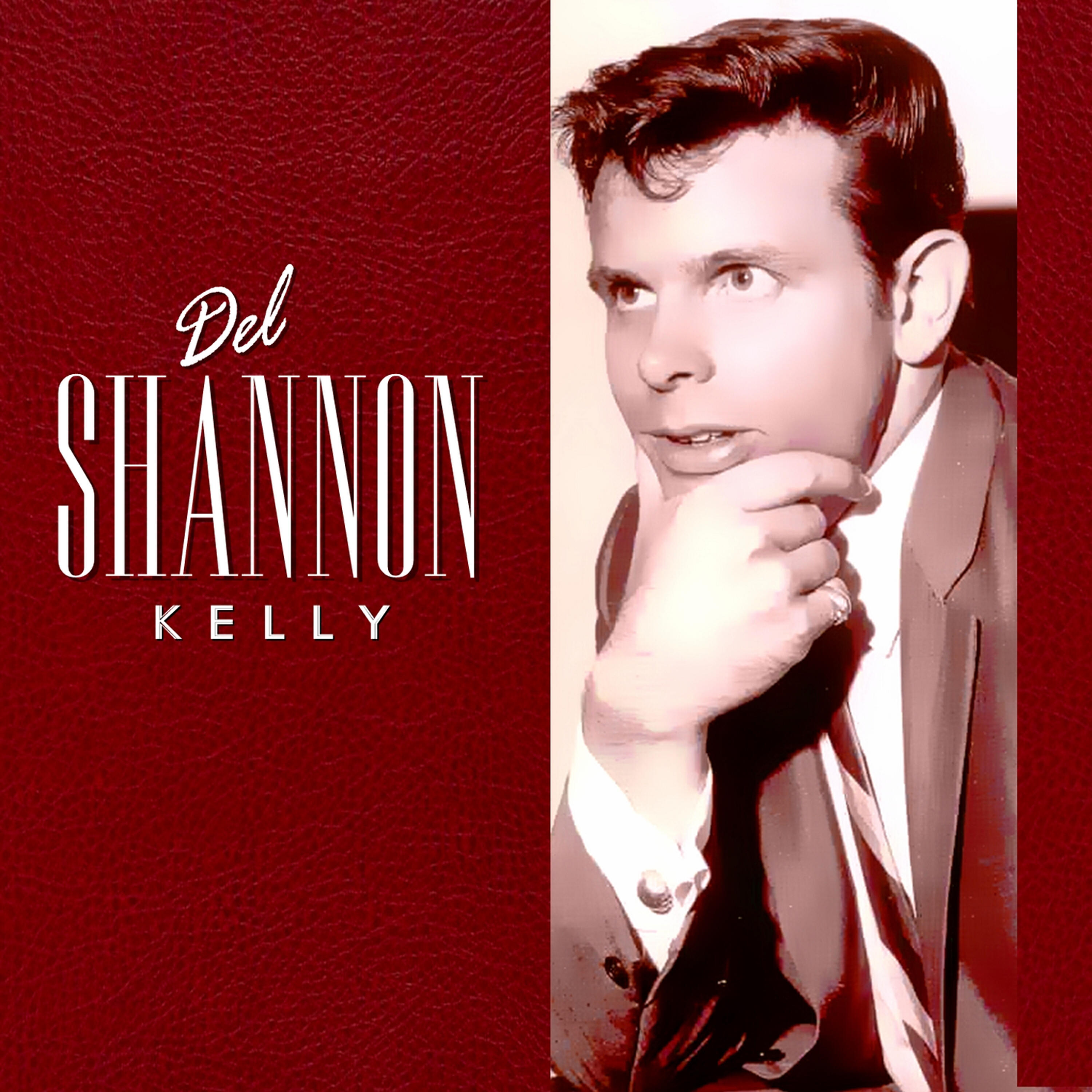 Del Shannon - Keep Searchin' (We'll Follow The Sun)