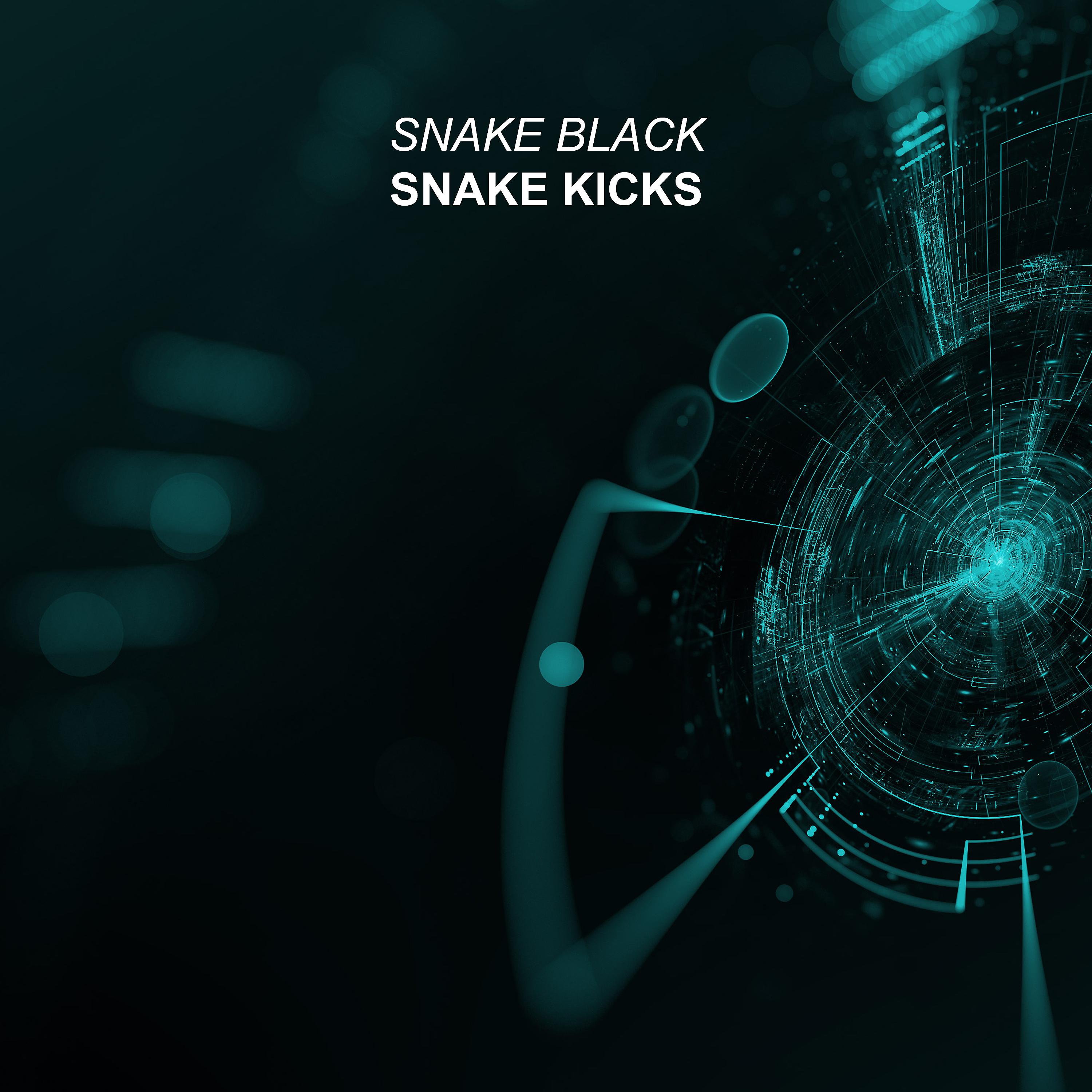 Постер альбома Snake Kicks