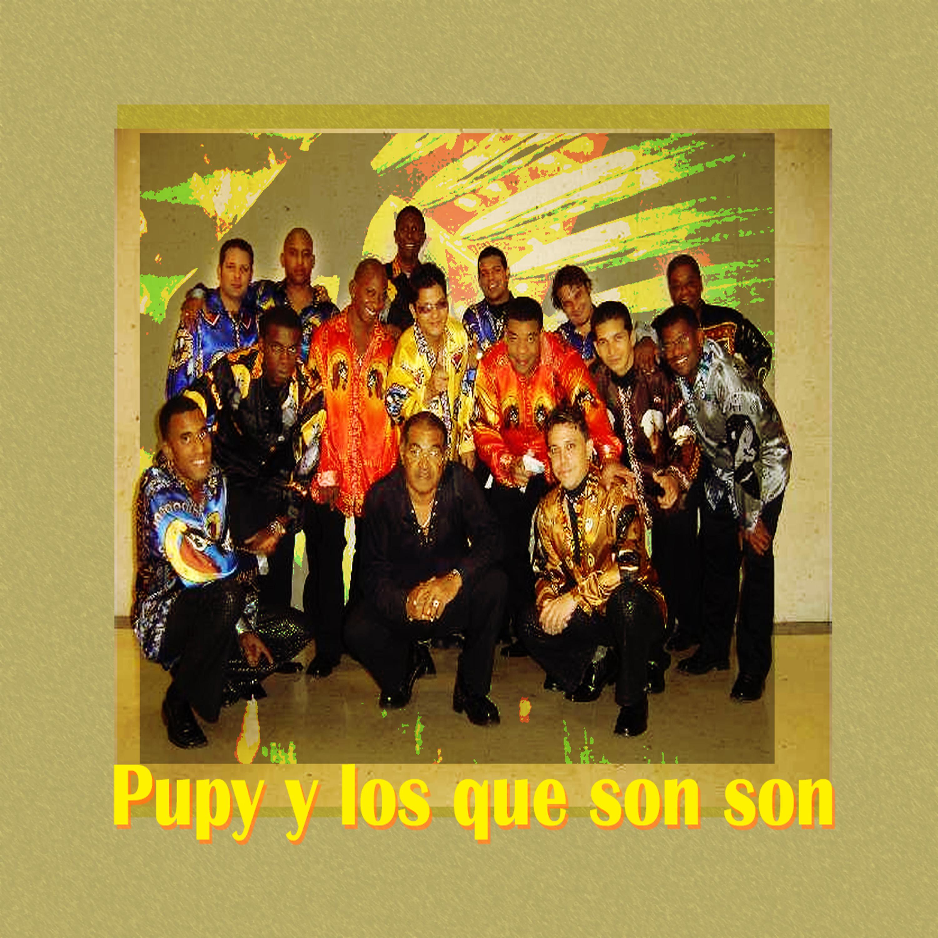 Постер альбома Pupy y Los que Son Son Best Of