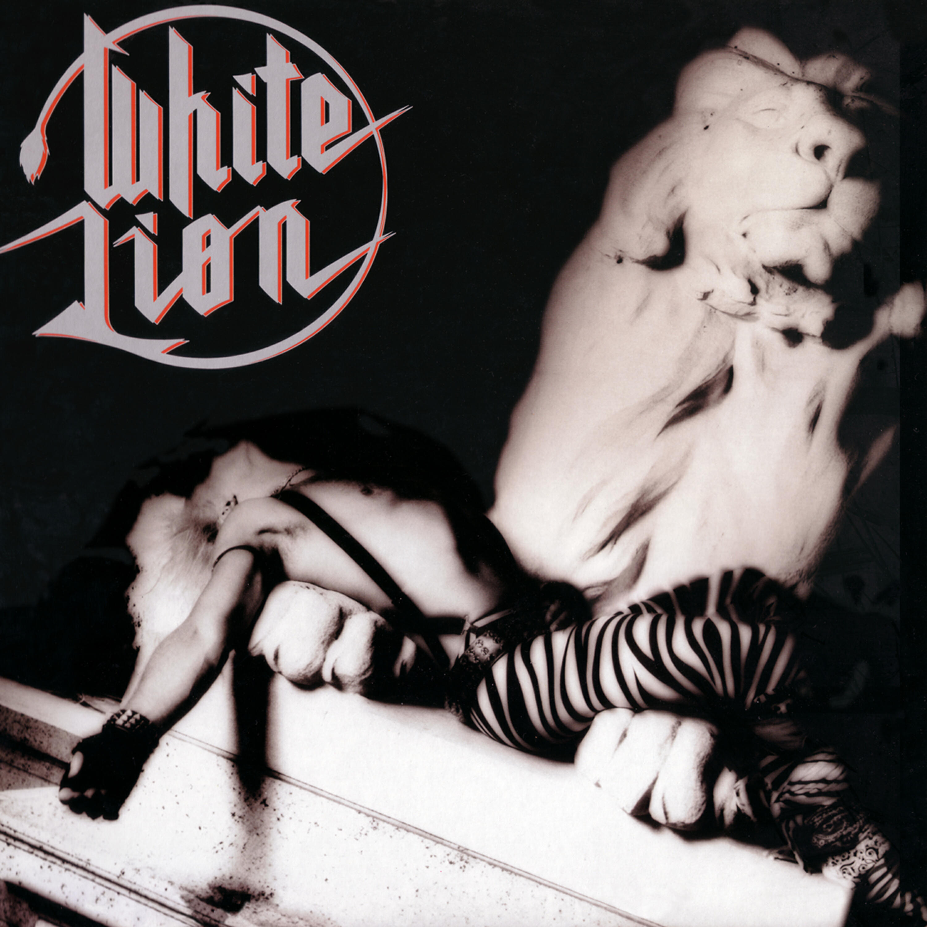 White Lion - El Salvador