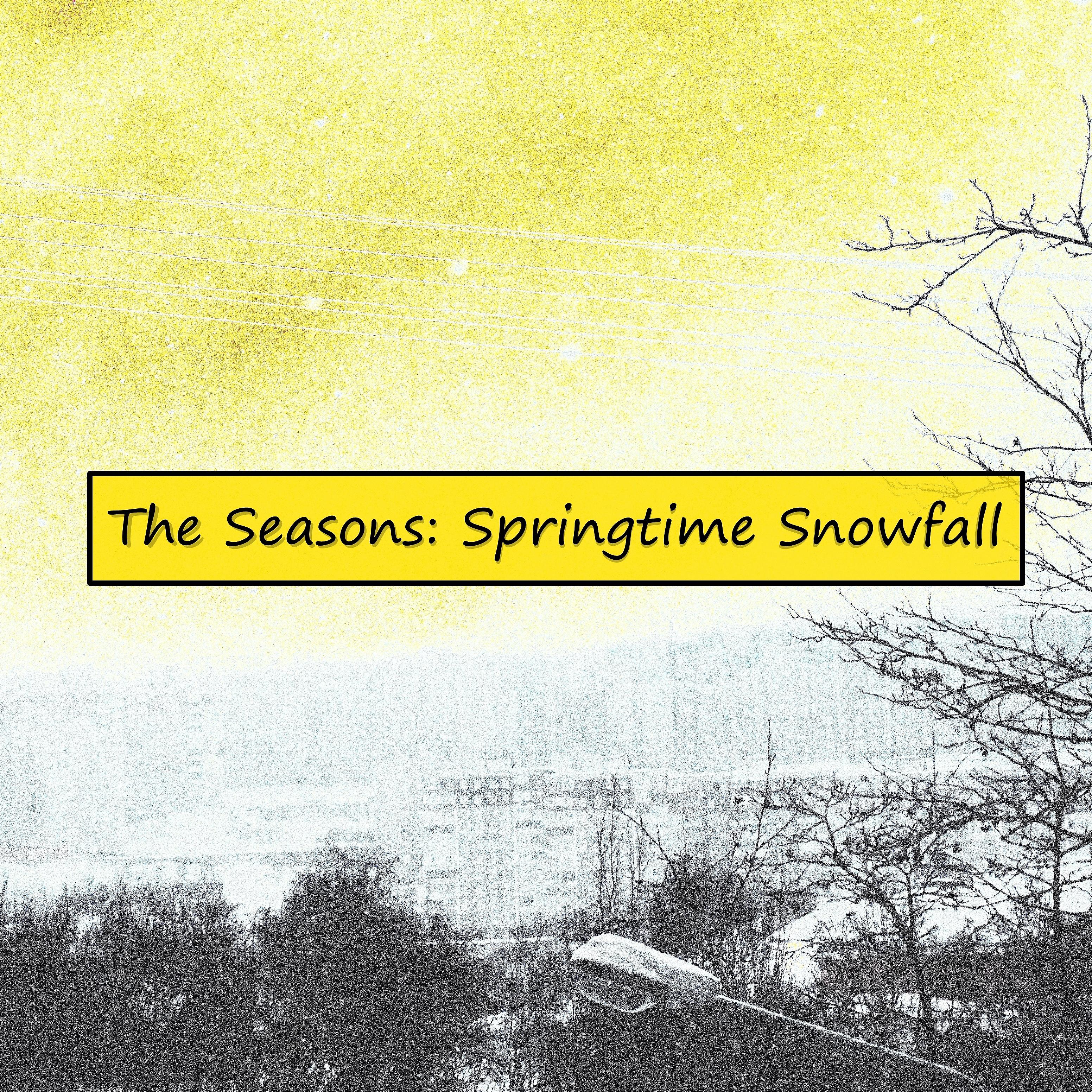 Постер альбома The Seasons: Springtime Snowfall
