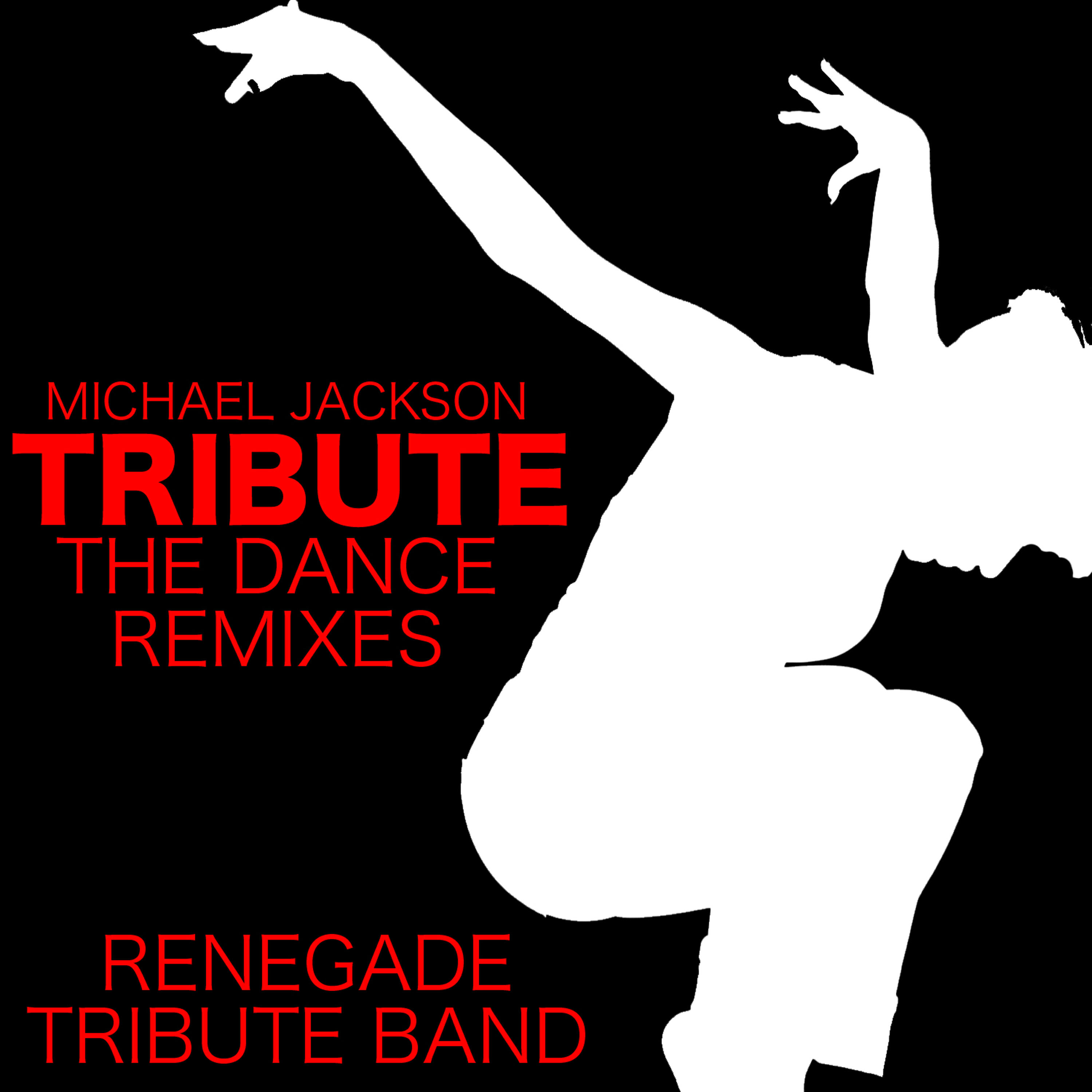 Renegade Tribute Band - The Way You Make Me Feel (2009 Dance Remix Salute)