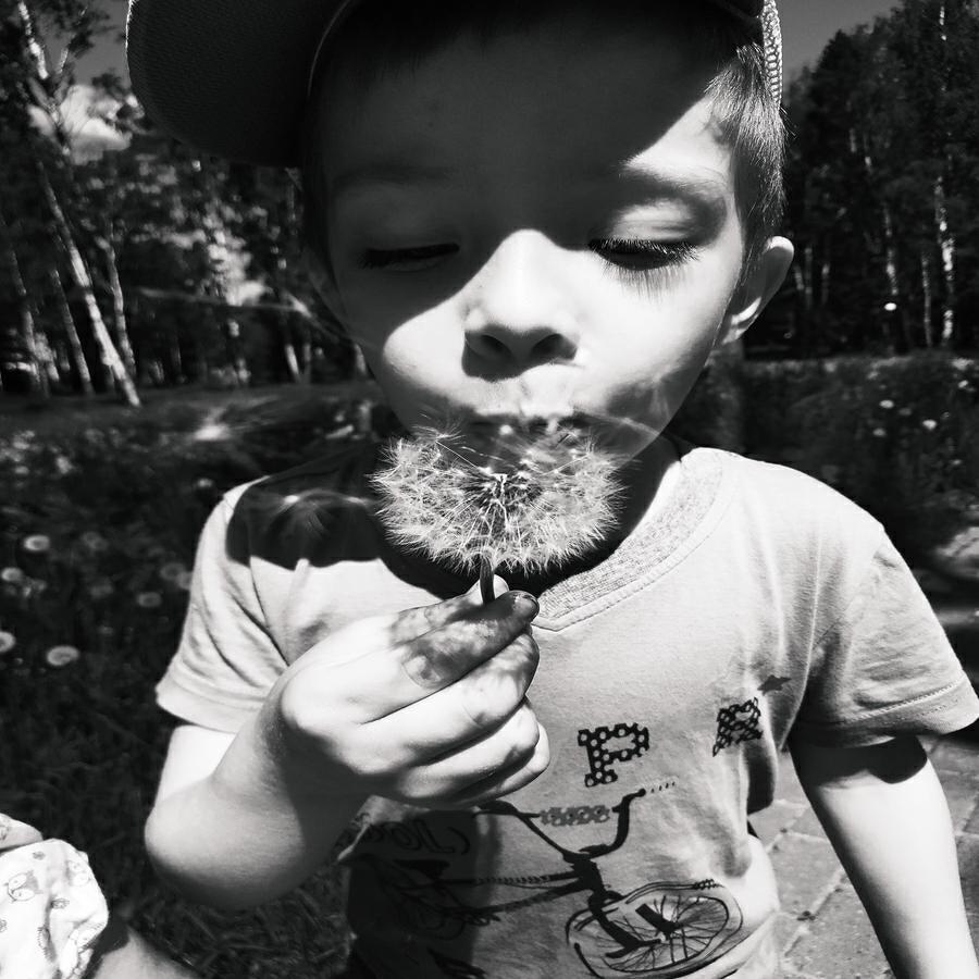 трамвай 7 планет все песни в mp3