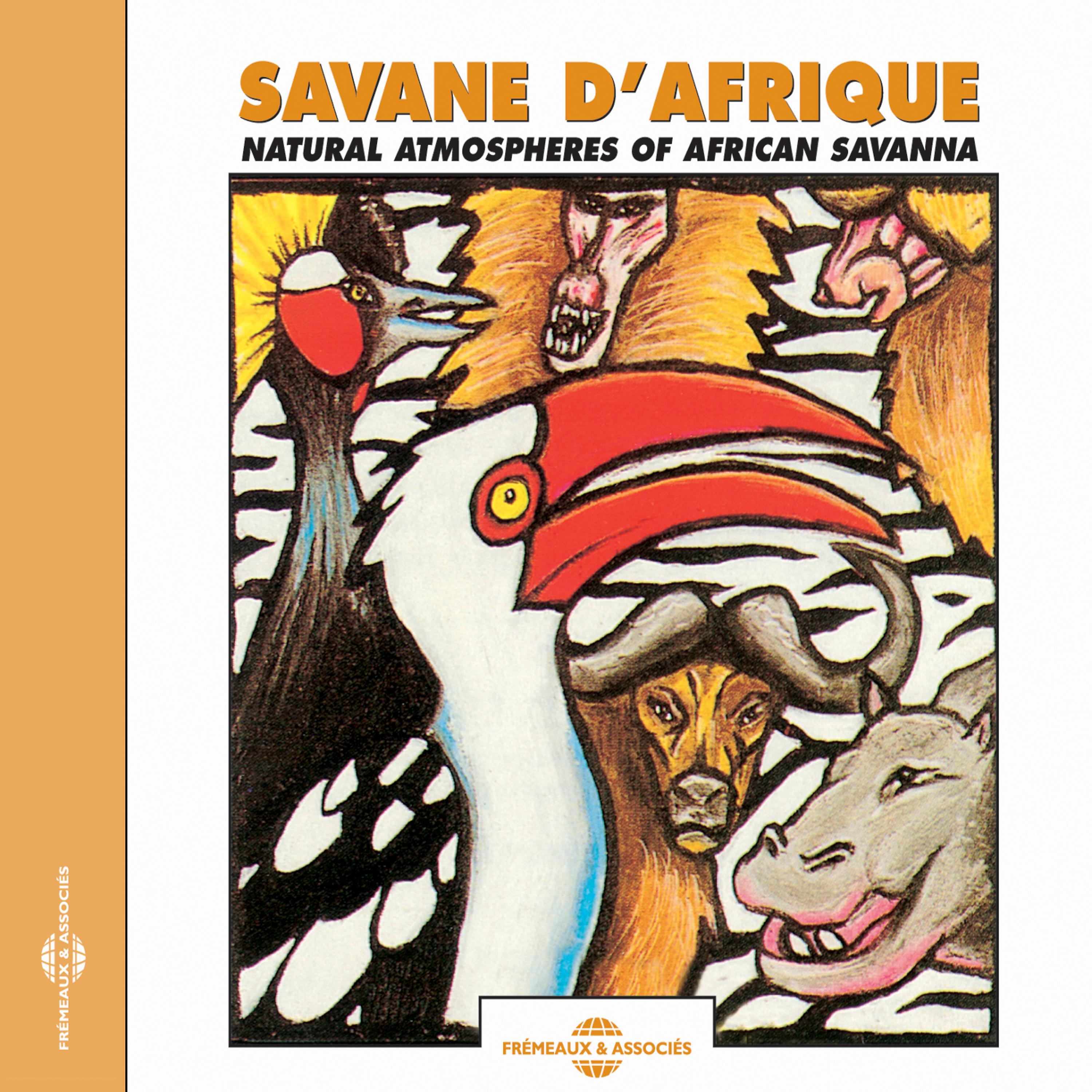 Постер альбома Savane D'Afrique