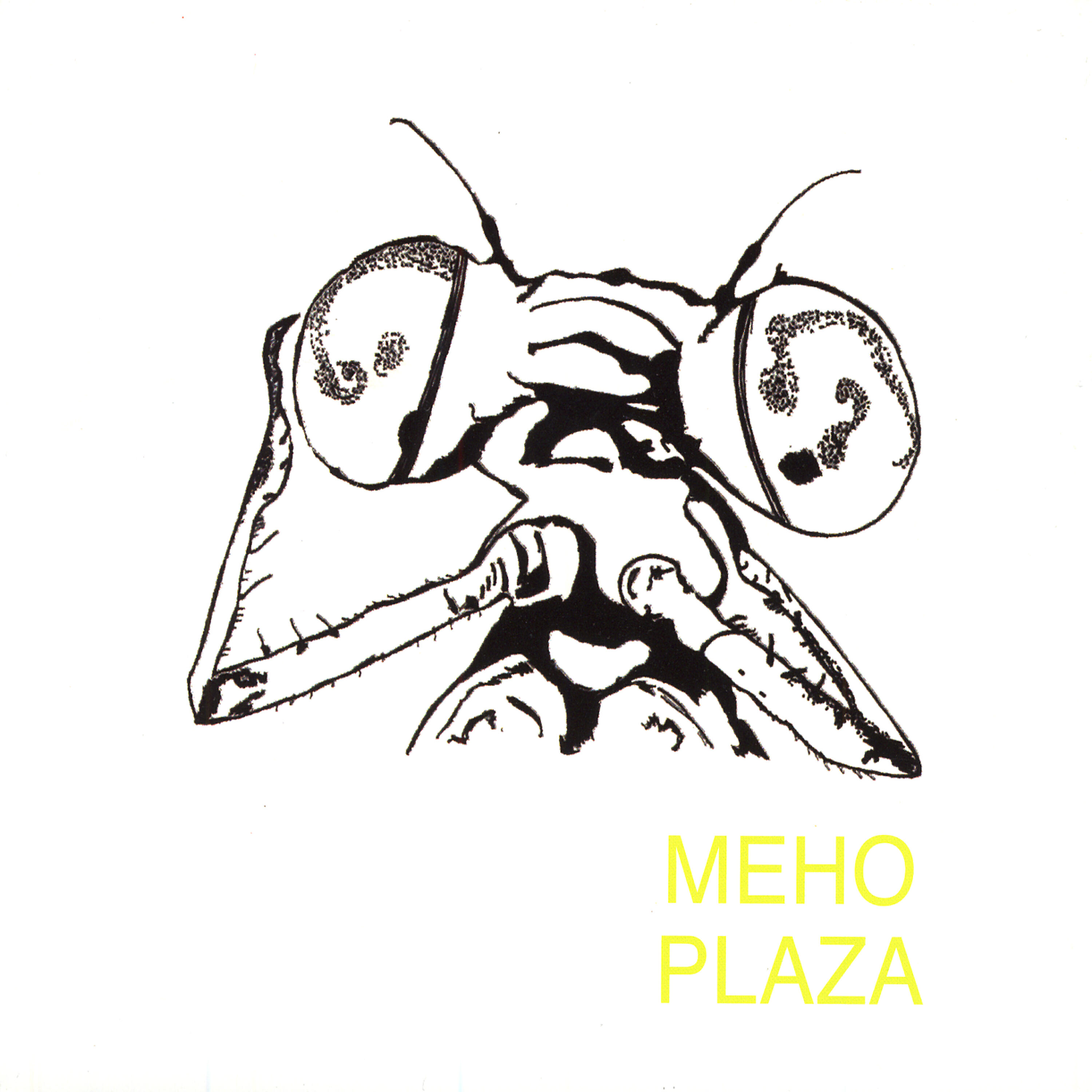 Meho Plaza - lacrosse