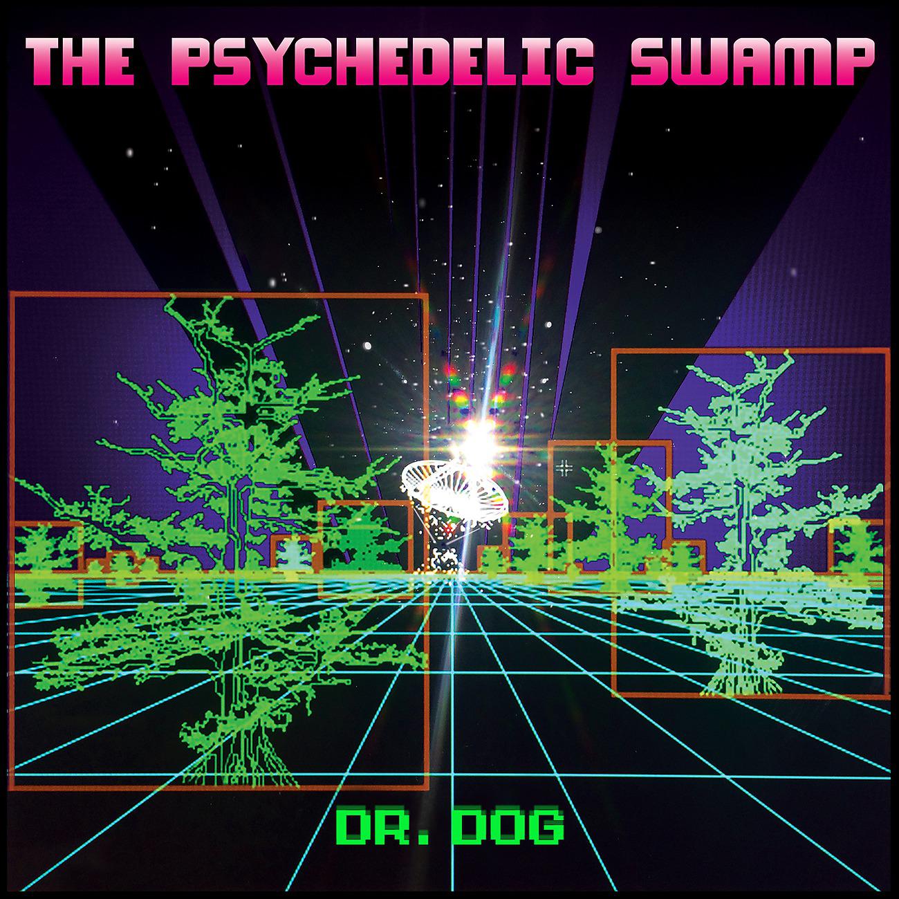 Постер альбома The Psychedelic Swamp