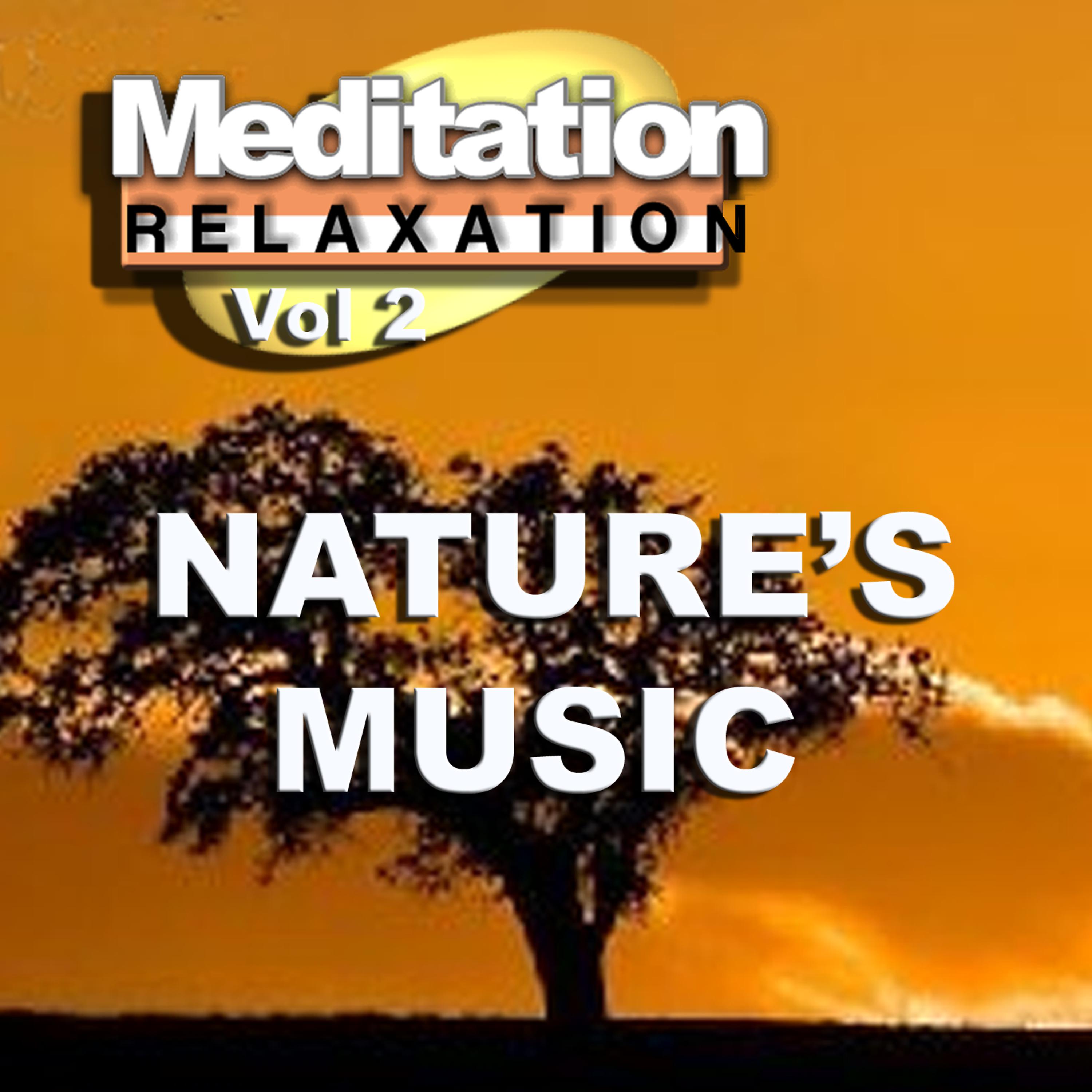 Постер альбома Meditation & Relaxation Vol 2