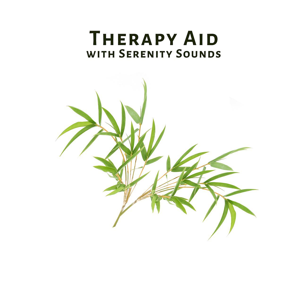 Постер альбома Therapy Aid with Serenity Sounds