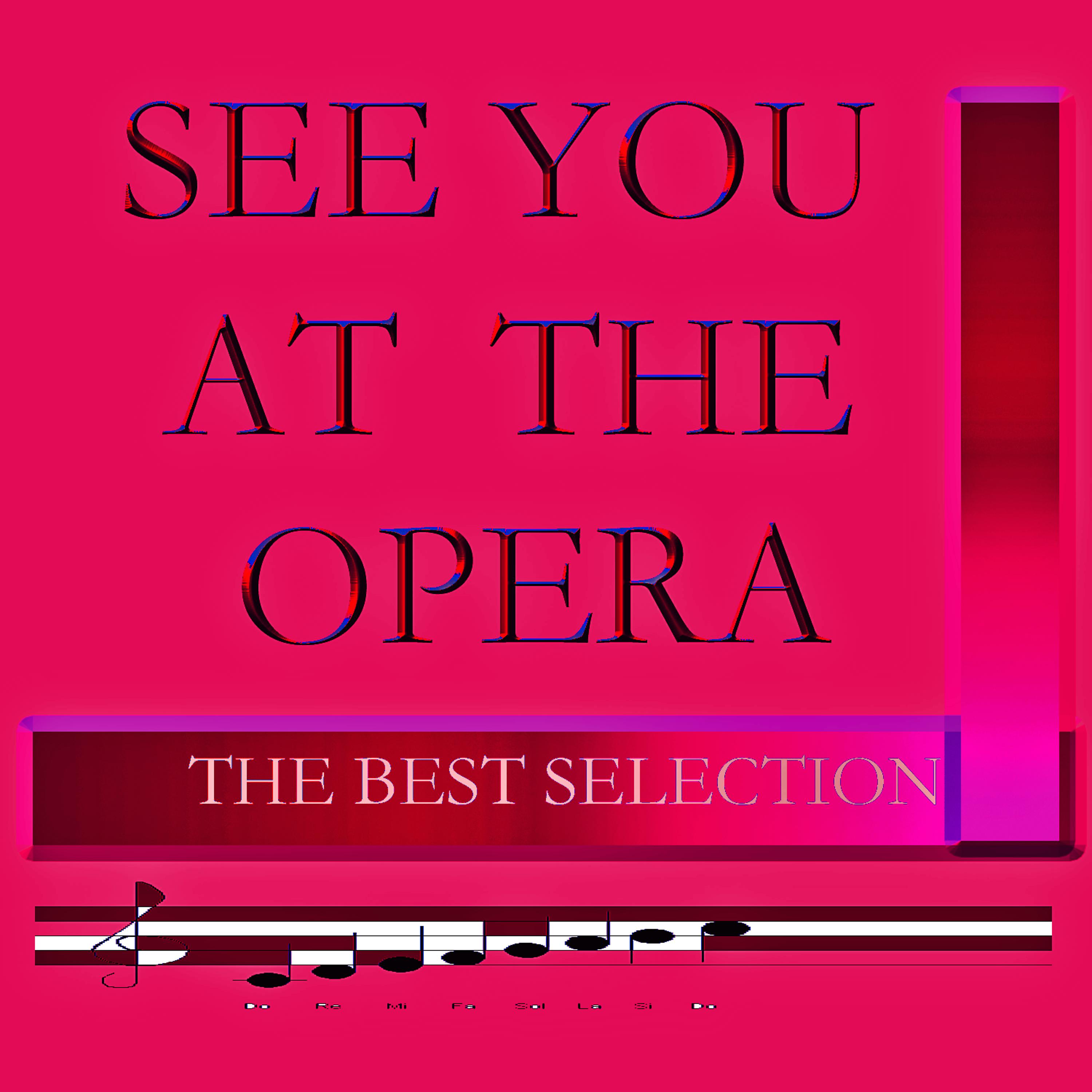 Постер альбома See you at the Opera