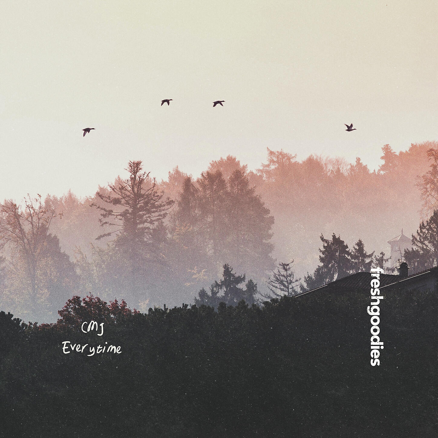 CMJ - Everytime