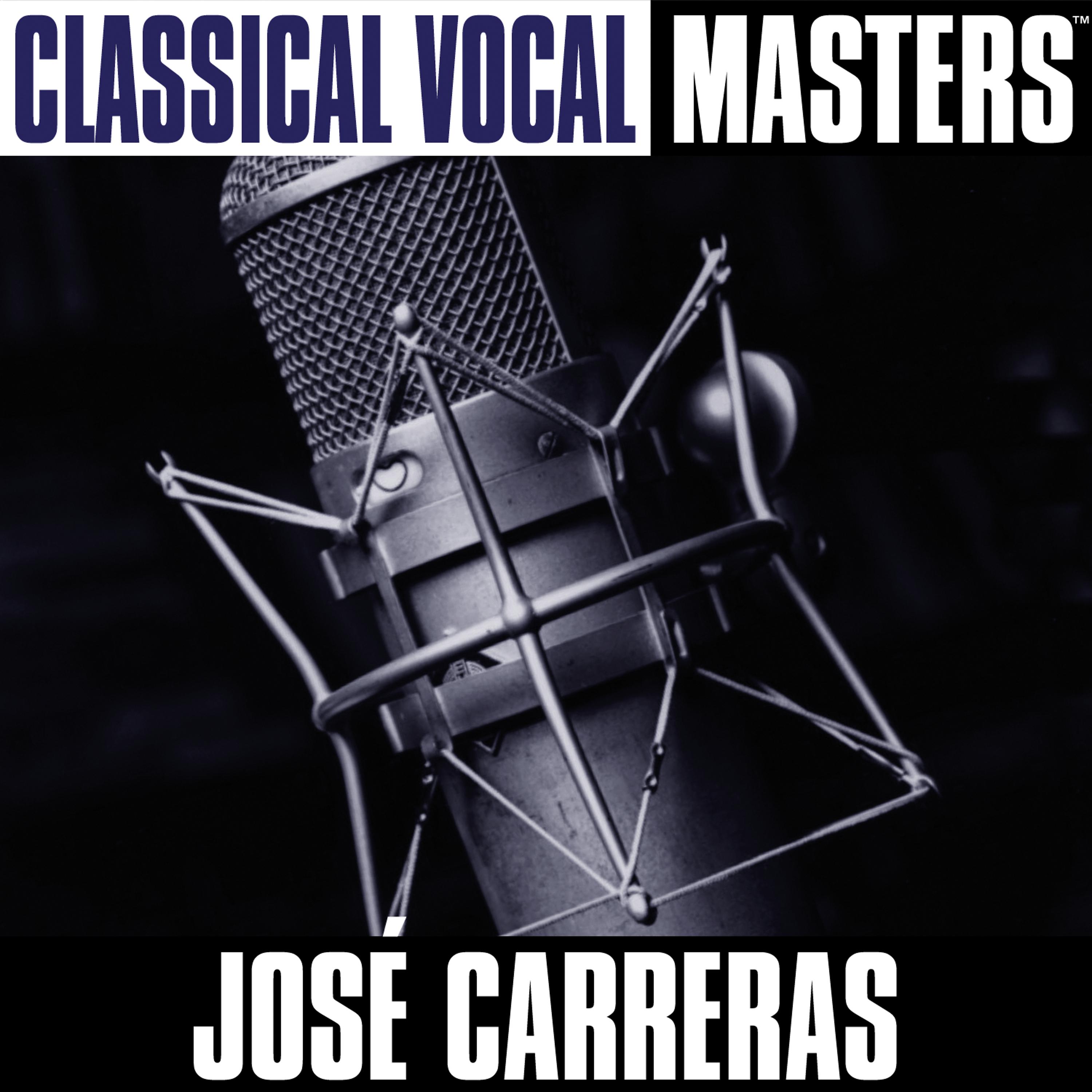Постер альбома Classical Vocal Masters