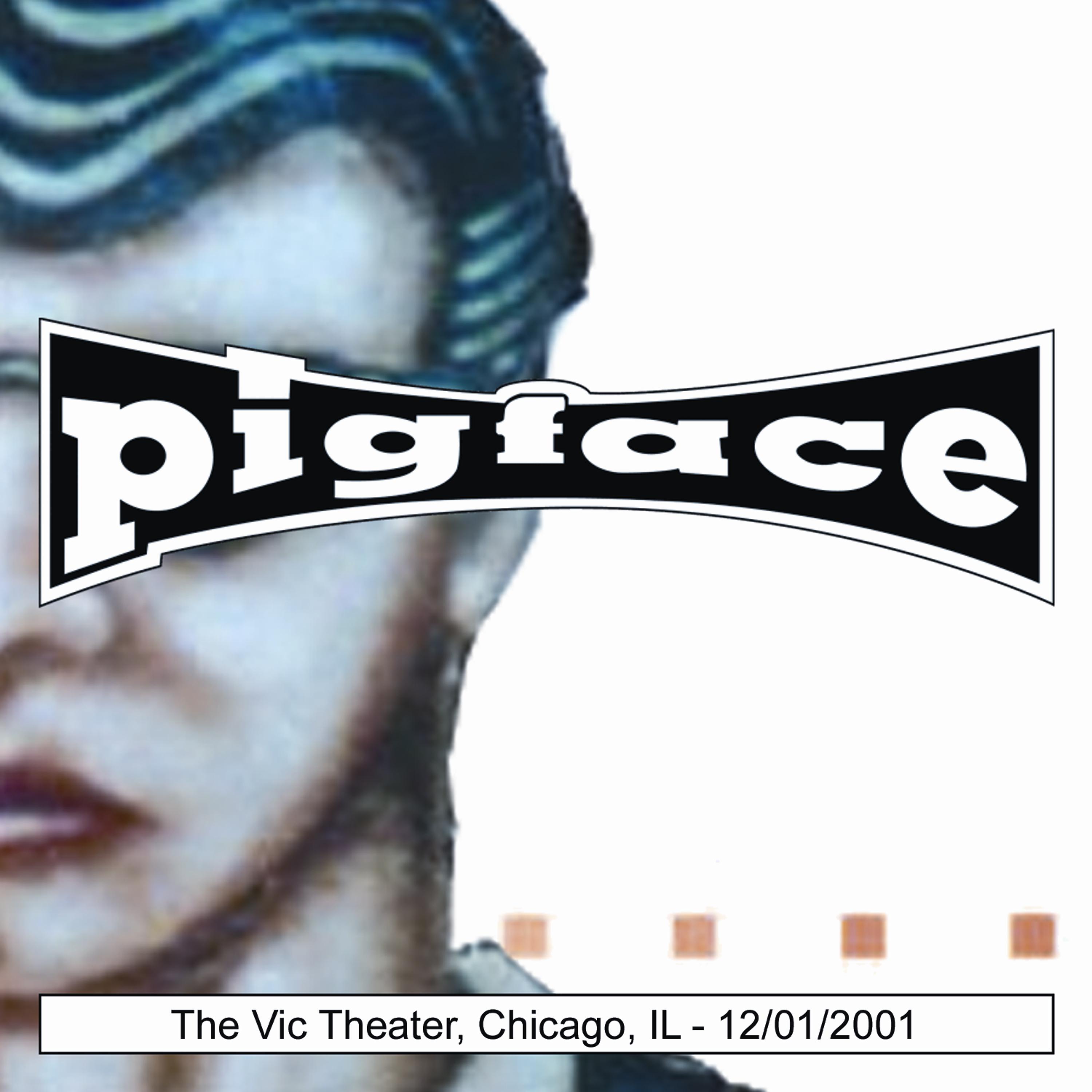 Постер альбома The Vic Theater, Chicago, IL 12/01/2001