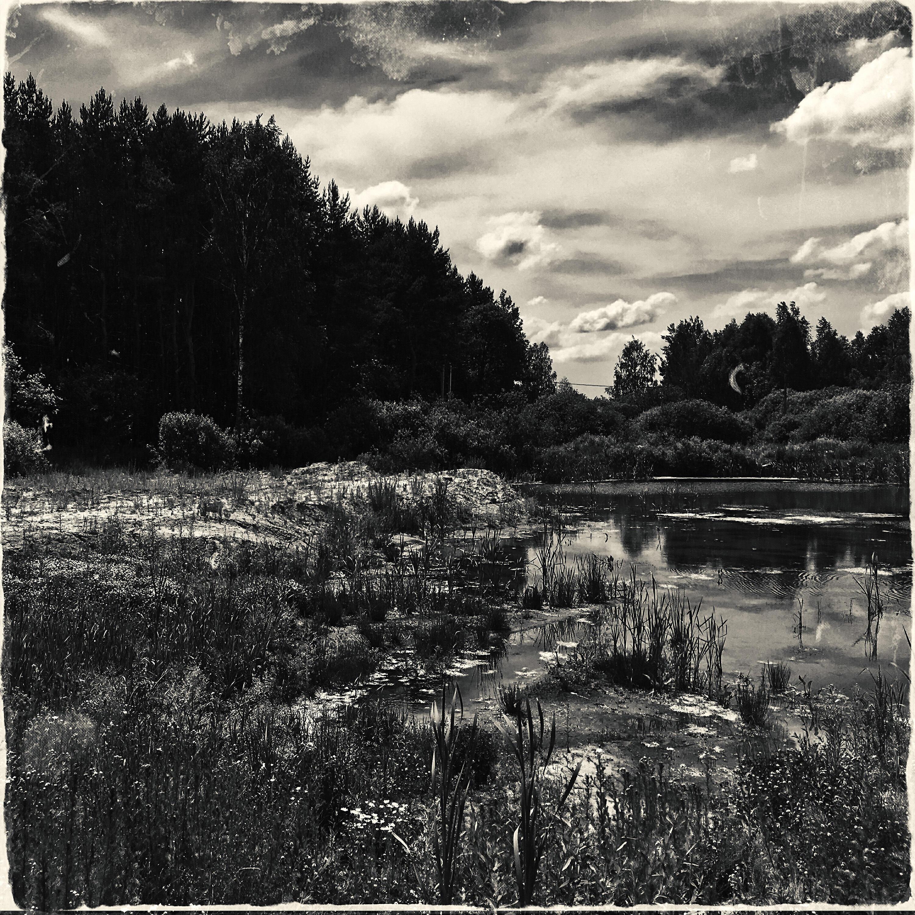 harakiirii все песни в mp3