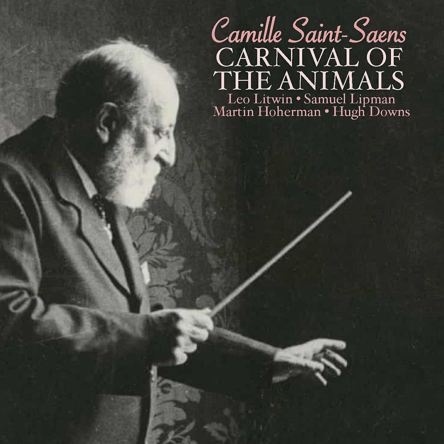 Leo Litwin - Carnival of the Animals, R. 125: III. Wild Jackasses