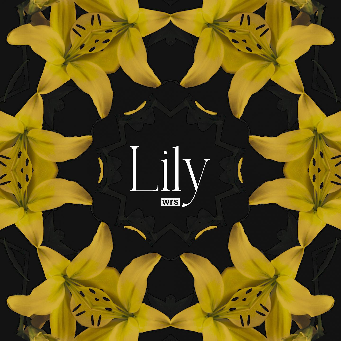 Постер альбома Lily