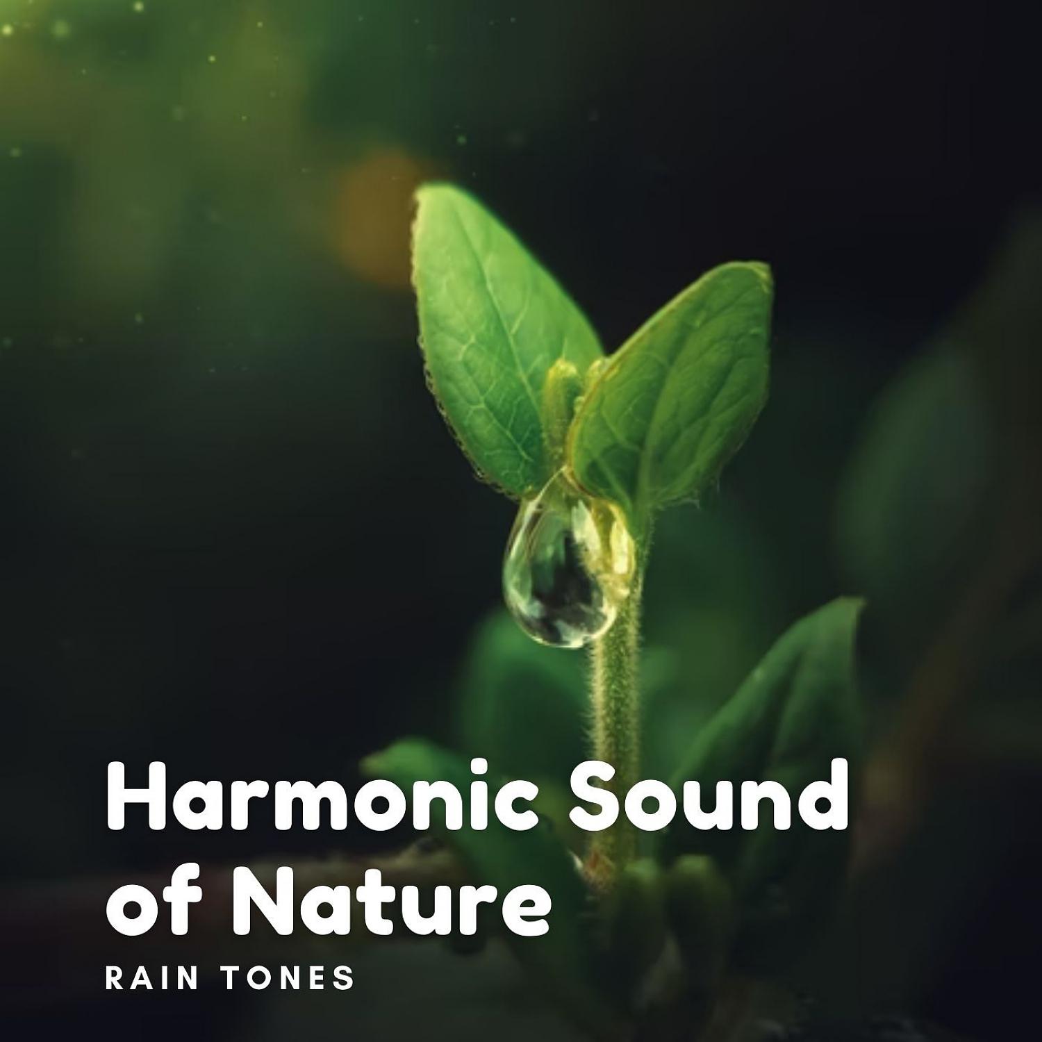 Постер альбома Rain Tones: Harmonic Sound of Nature