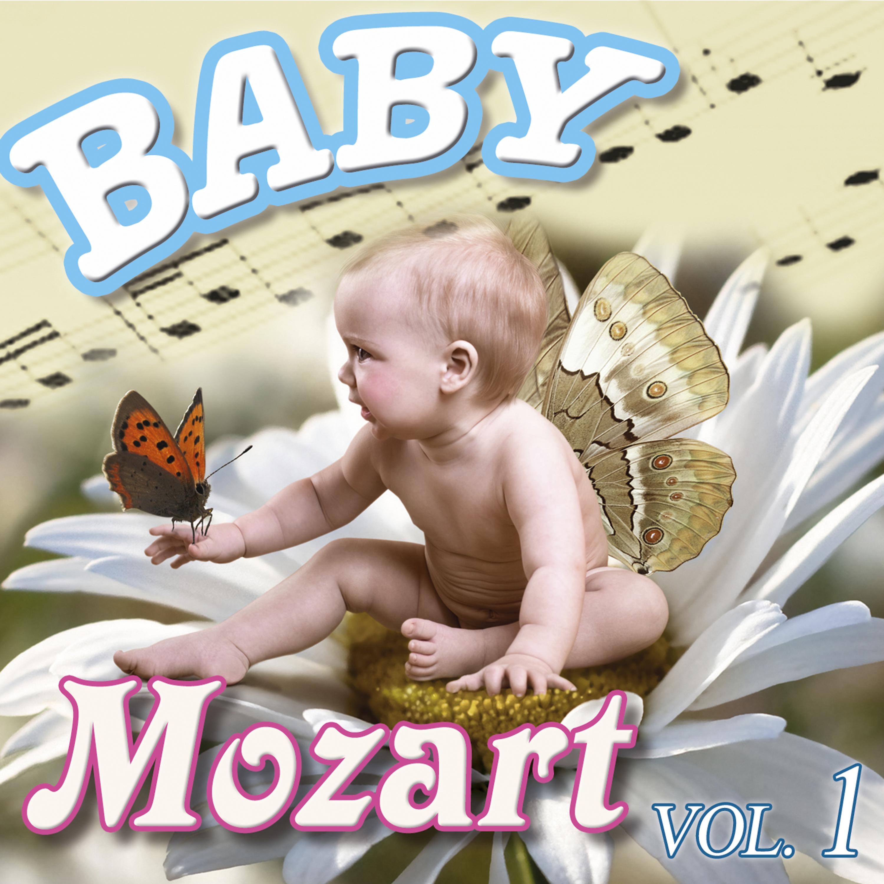 Постер альбома Baby Mozart Vol.1