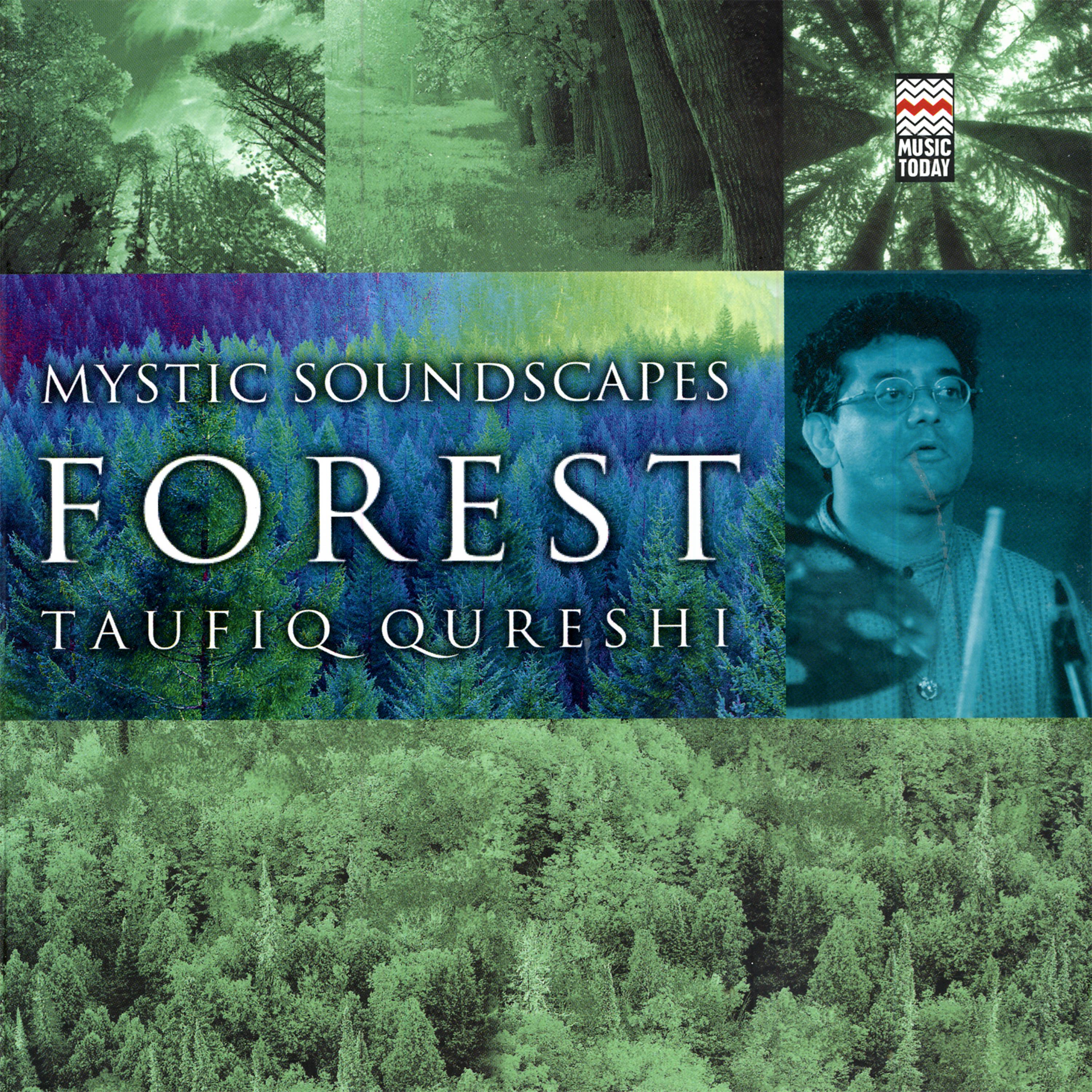 Постер альбома Mystic Soundscapes: Forest
