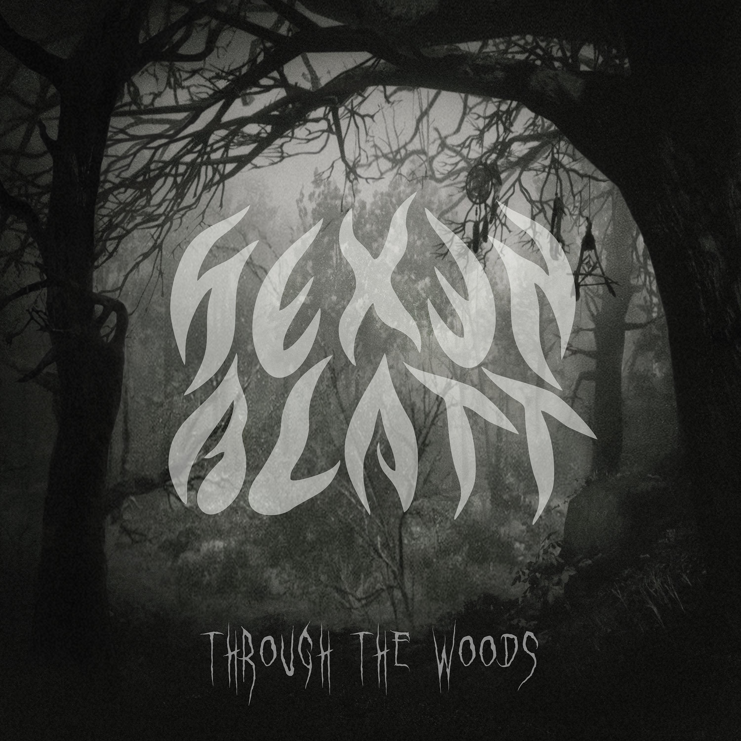 Постер альбома Through the Woods
