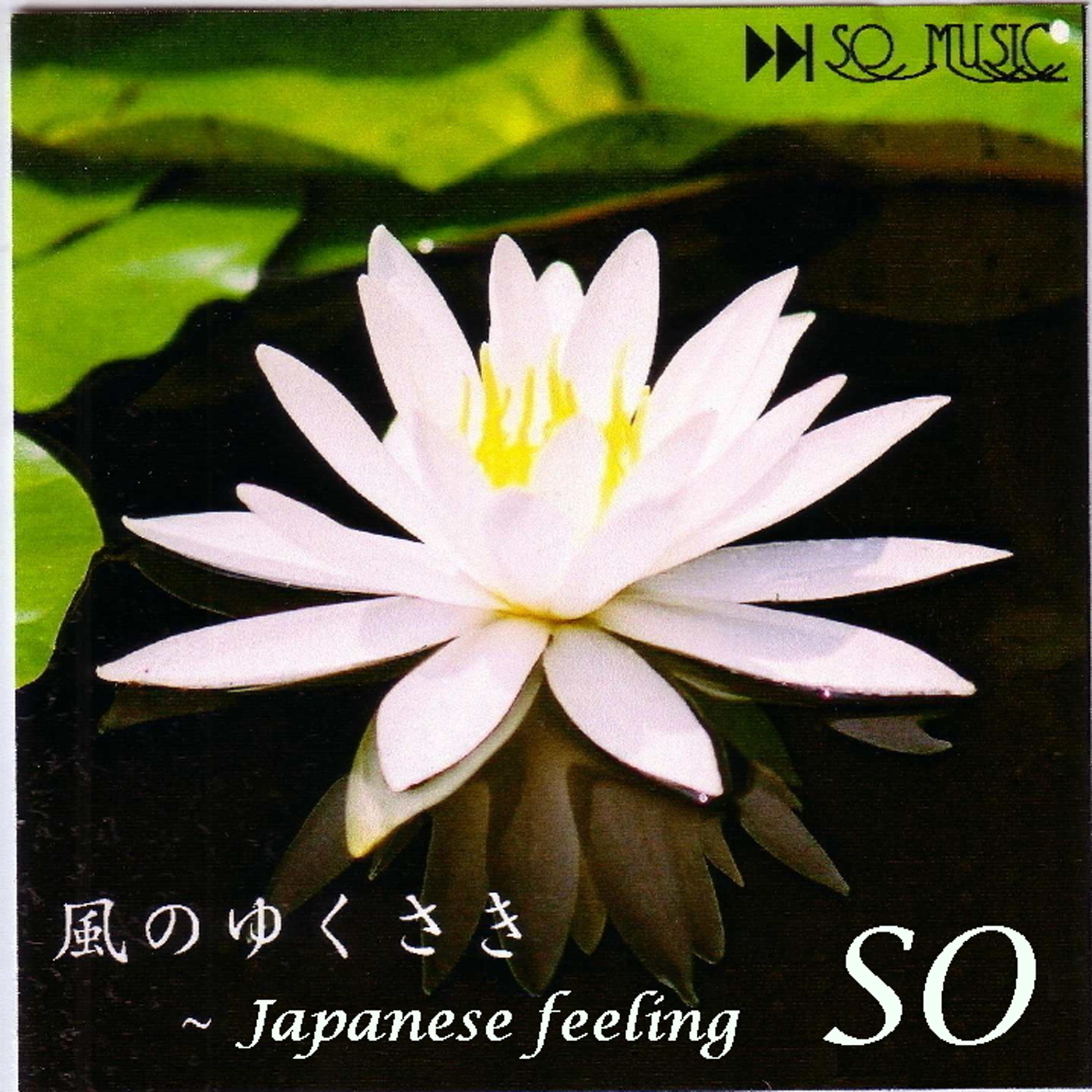 Постер альбома Japanese feeling