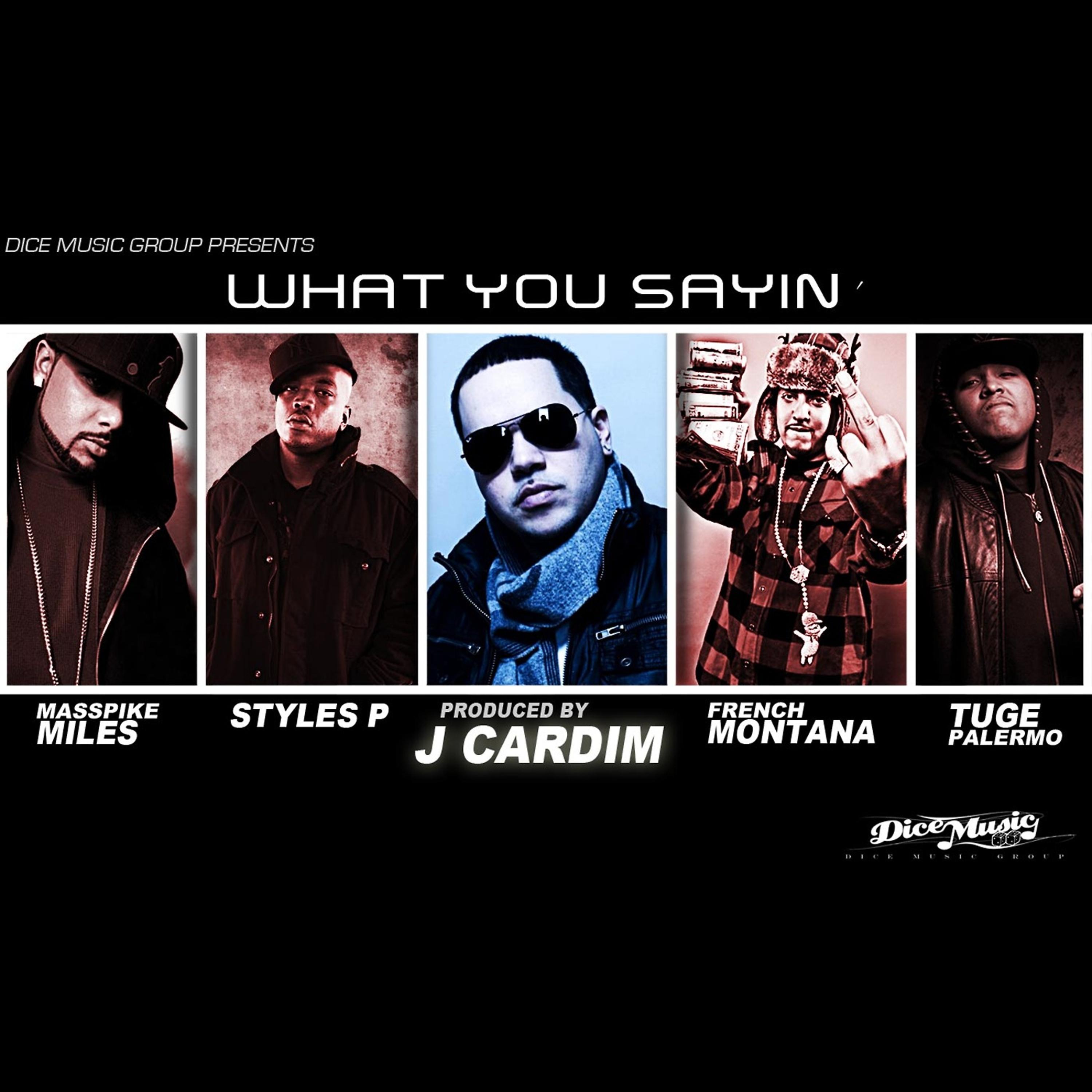 Постер альбома What You Sayin' (feat. Styles P., Masspike Miles, Tuge Palermo and French Montana)