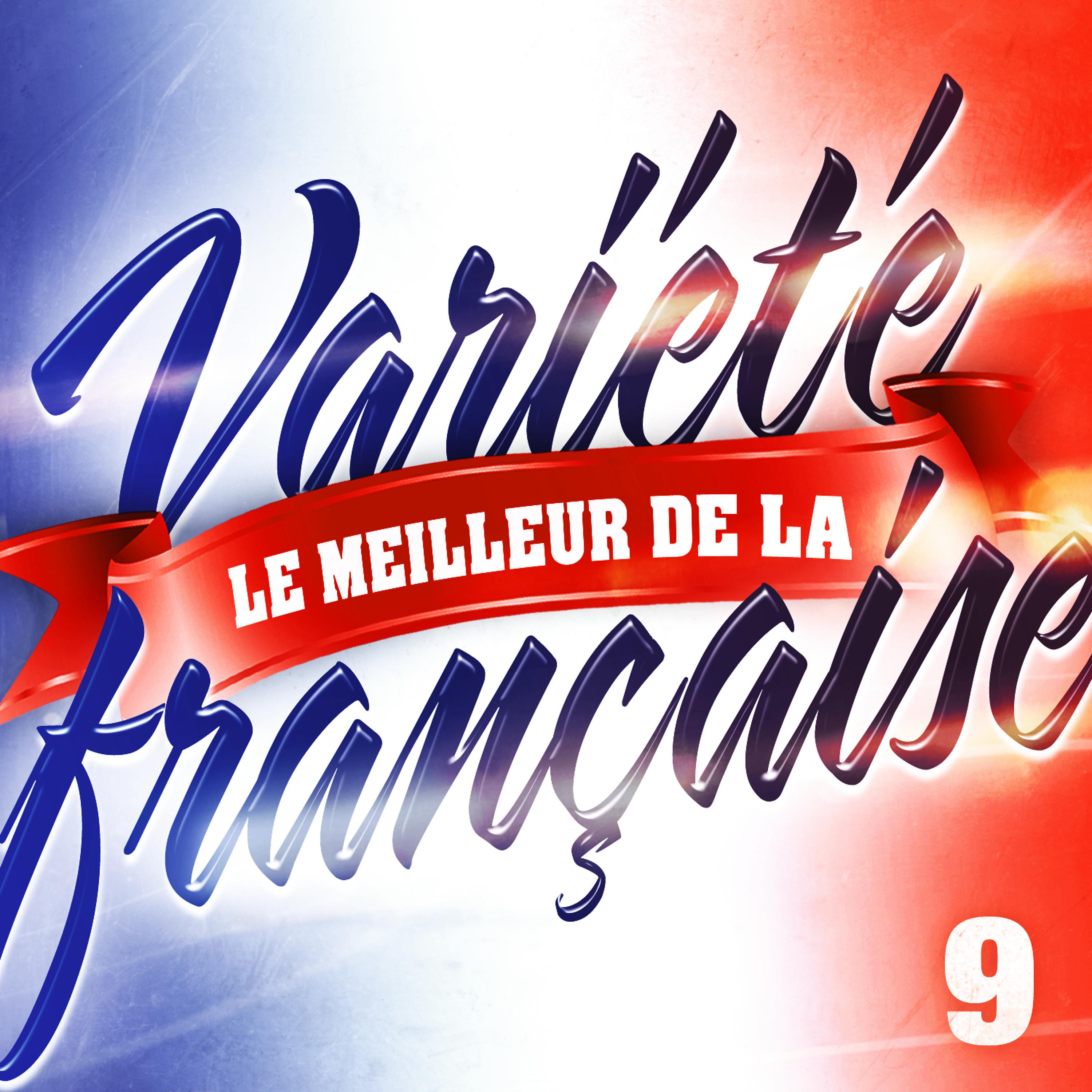 Постер альбома Le Meilleur De La Variété Française Vol. 9