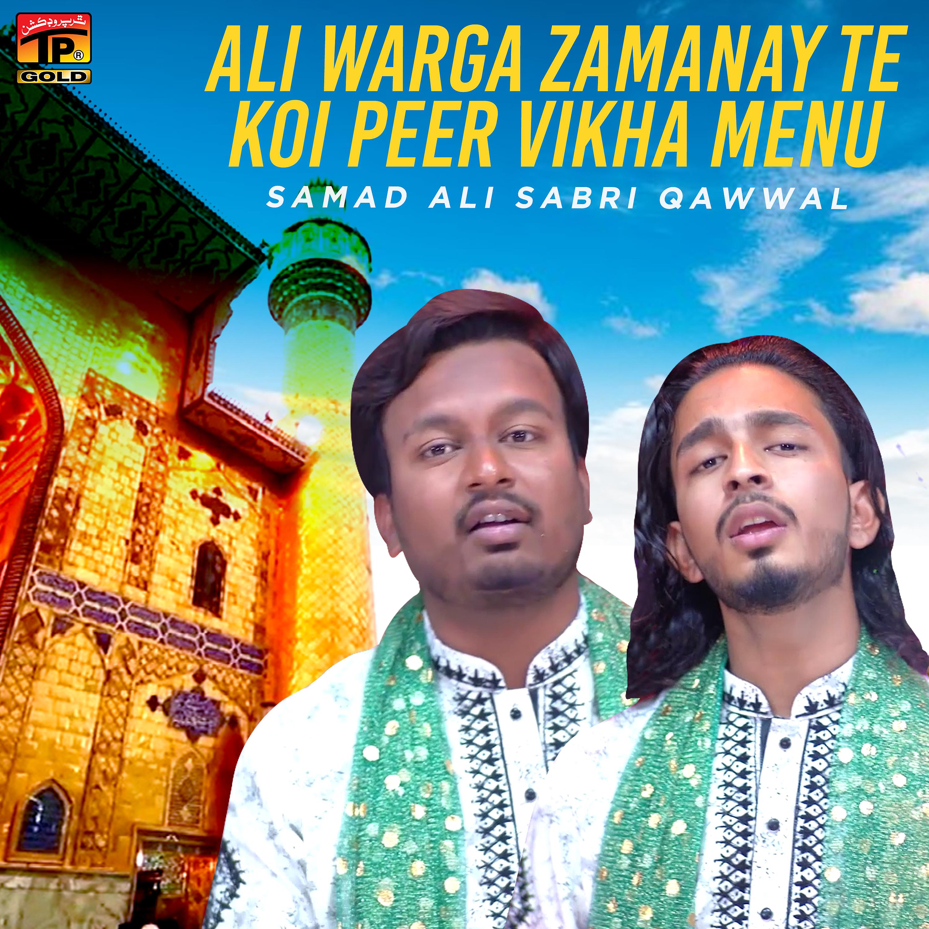 Постер альбома Ali Warga Zamanay Te Koi Peer Vikha Menu - Single