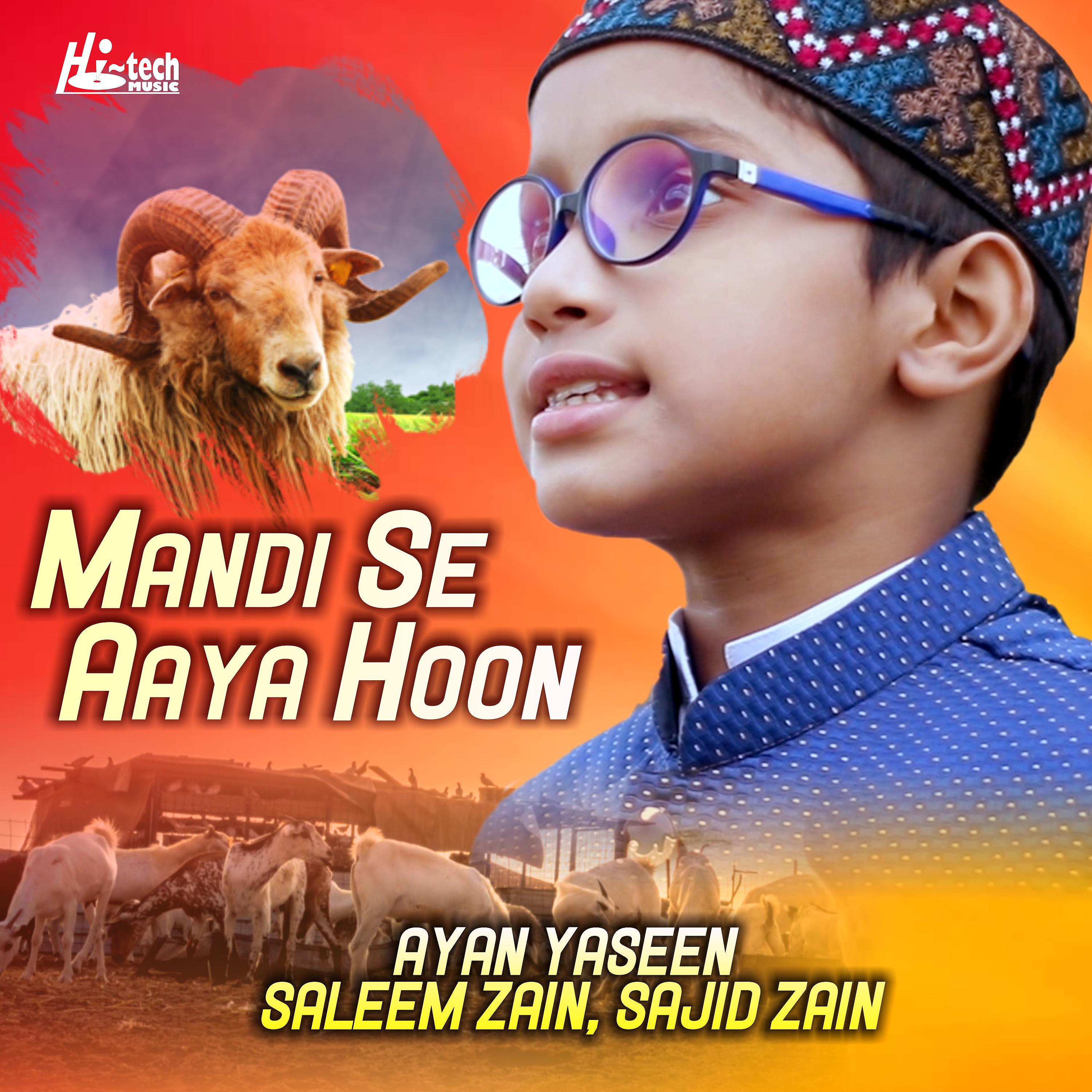 Постер альбома Mandi Se Aaya Hoon